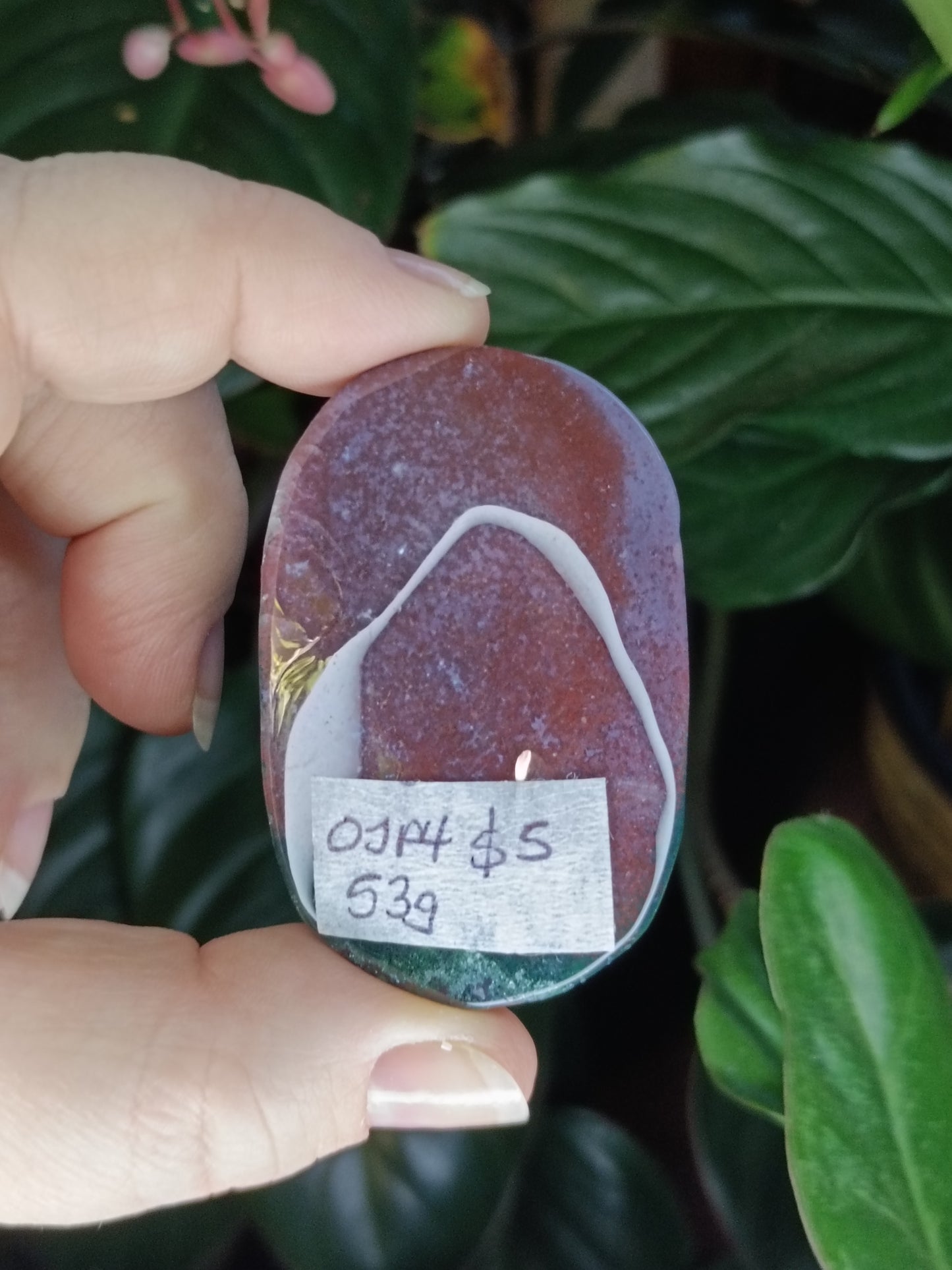 Ocean Jasper Palmstone - 53g