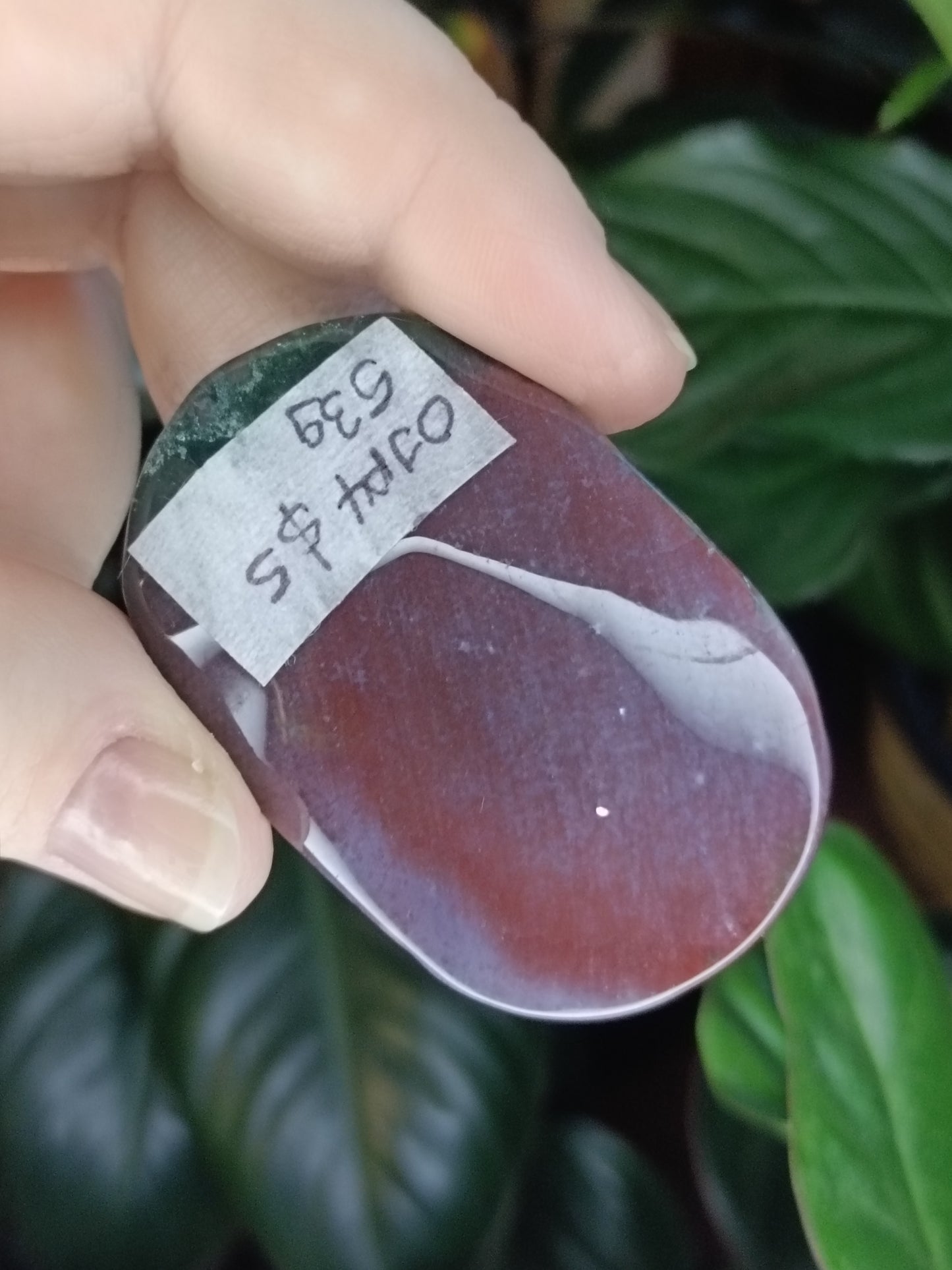 Ocean Jasper Palmstone - 53g