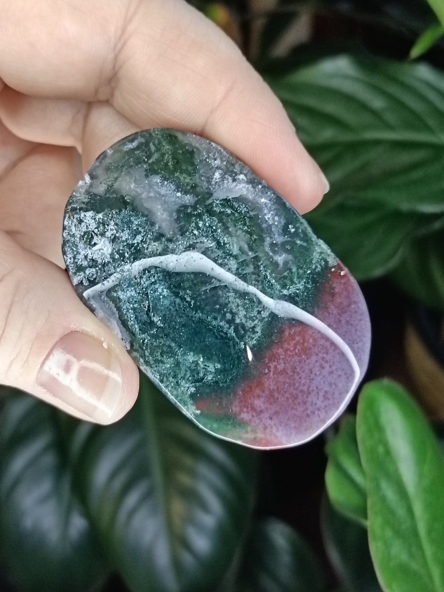 Ocean Jasper Palmstone - 53g