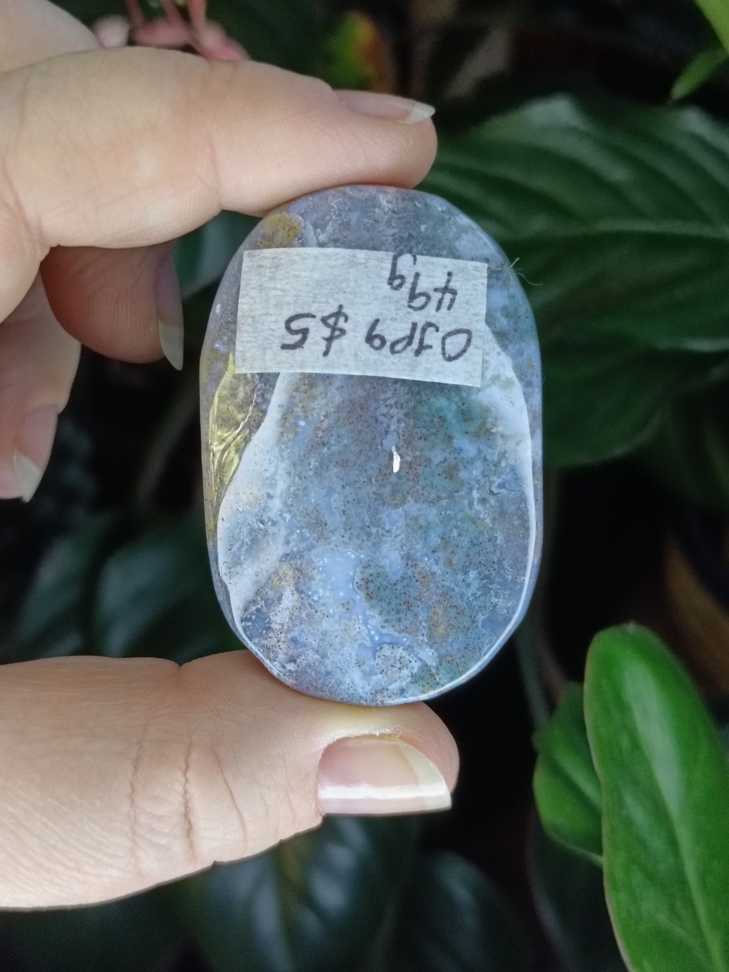 Ocean Jasper Palmstone - 49g