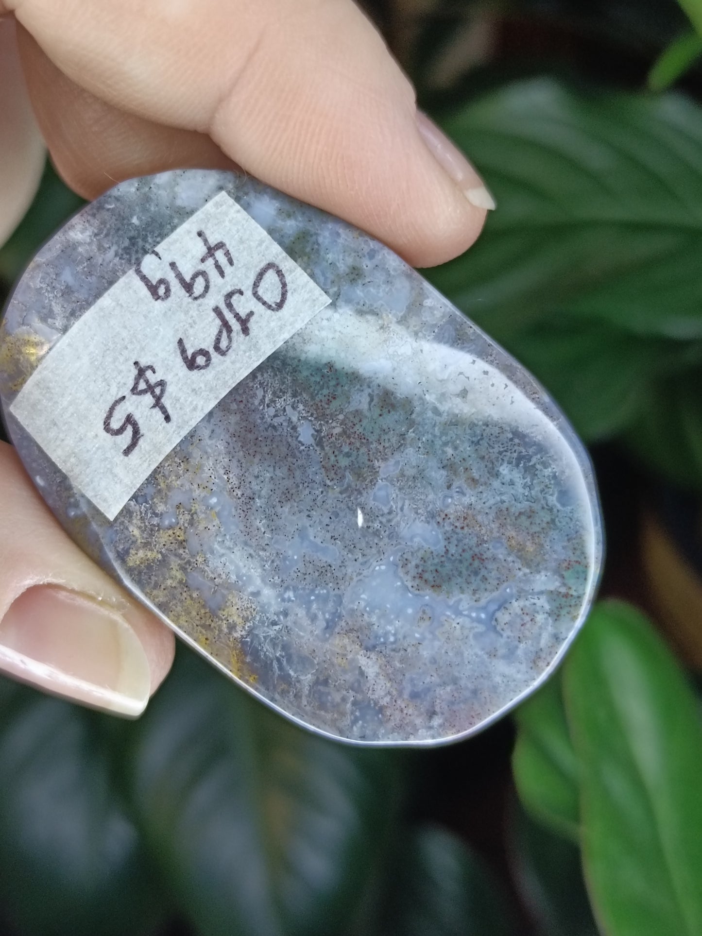 Ocean Jasper Palmstone - 49g