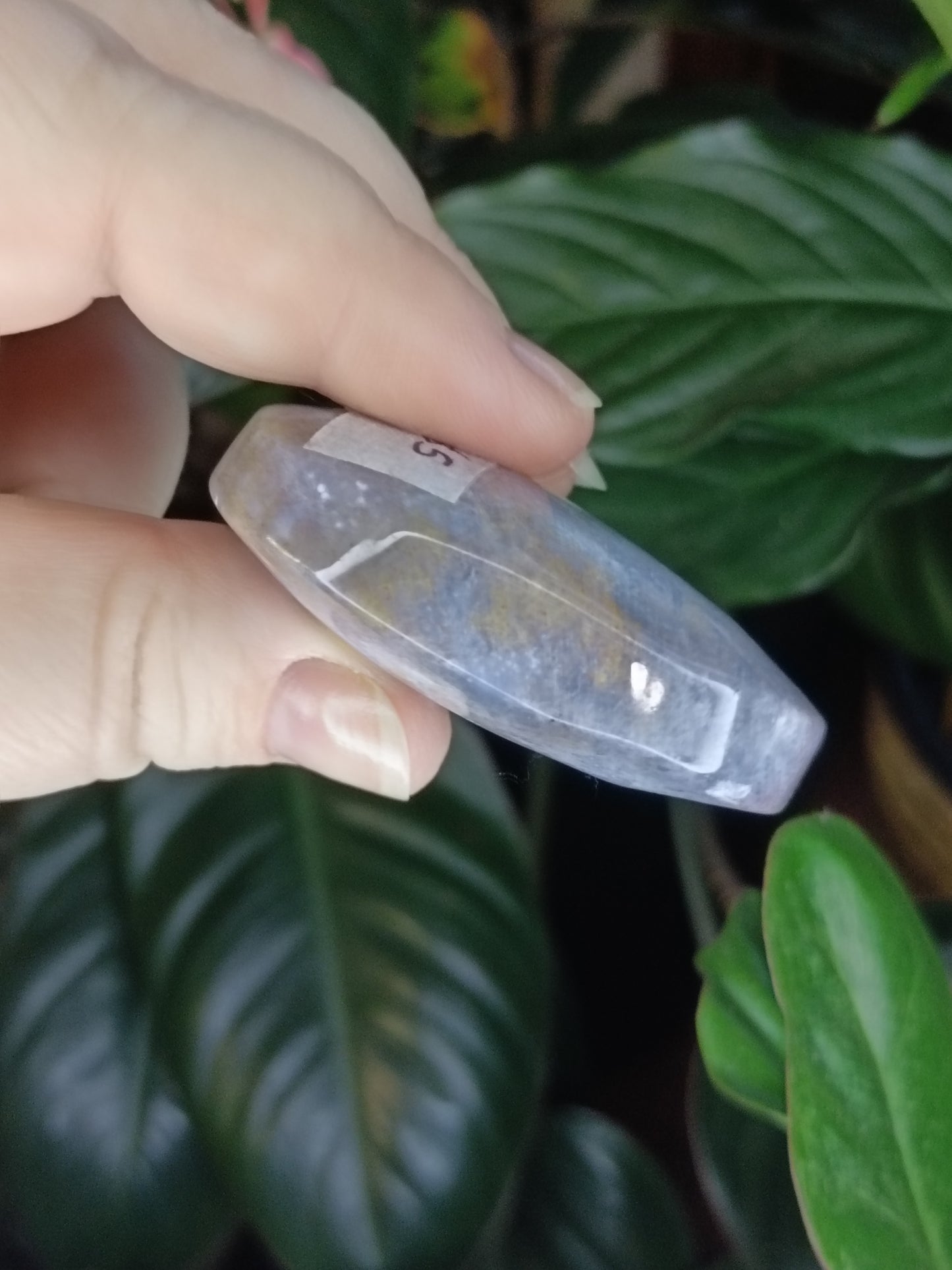 Ocean Jasper Palmstone - 49g