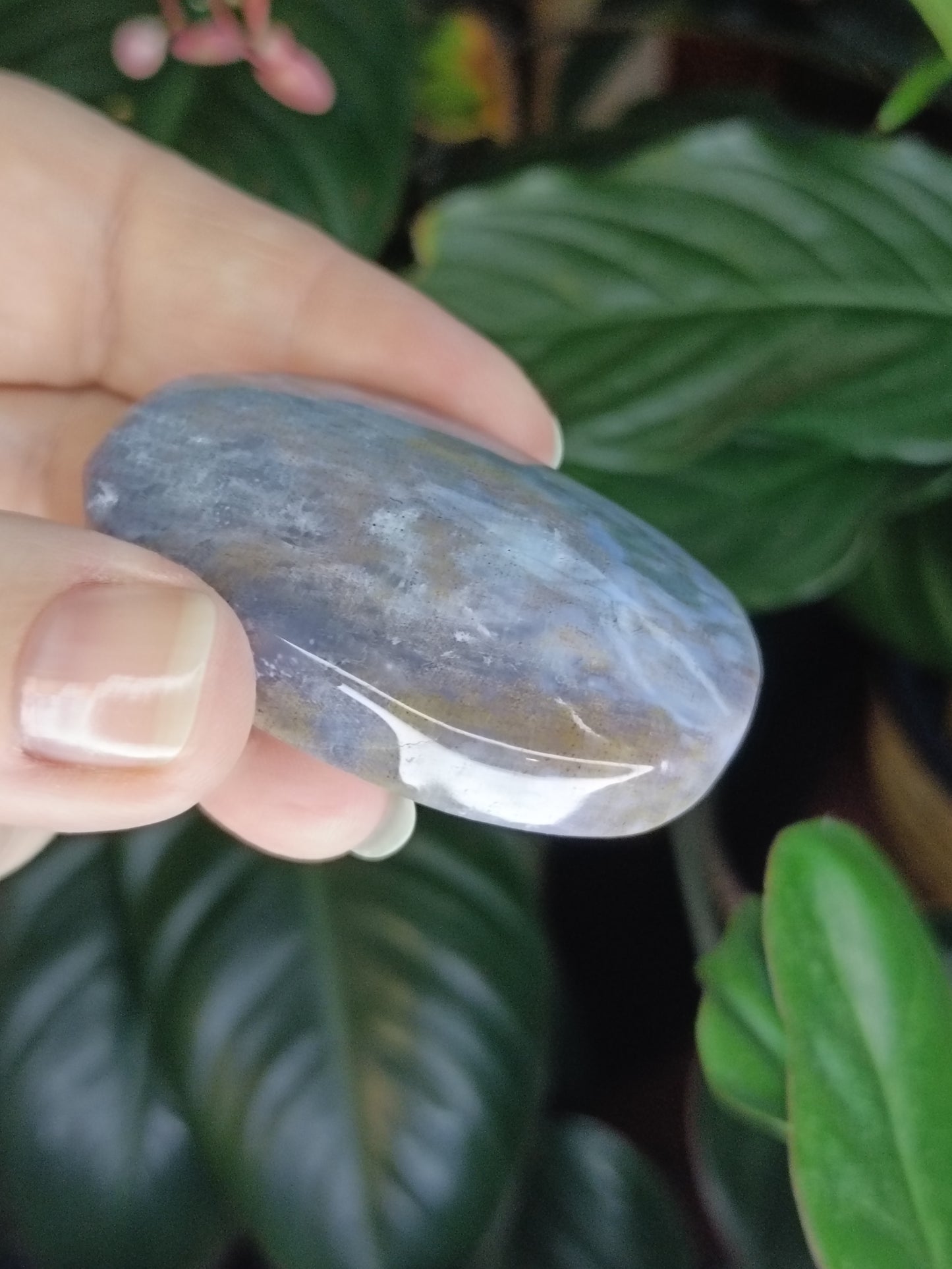 Ocean Jasper Palmstone - 49g