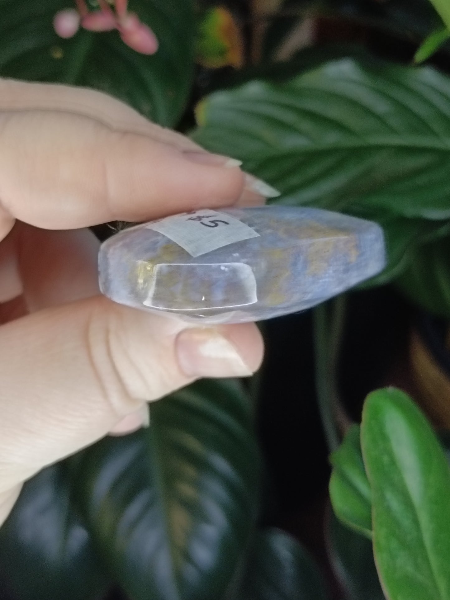 Ocean Jasper Palmstone - 49g
