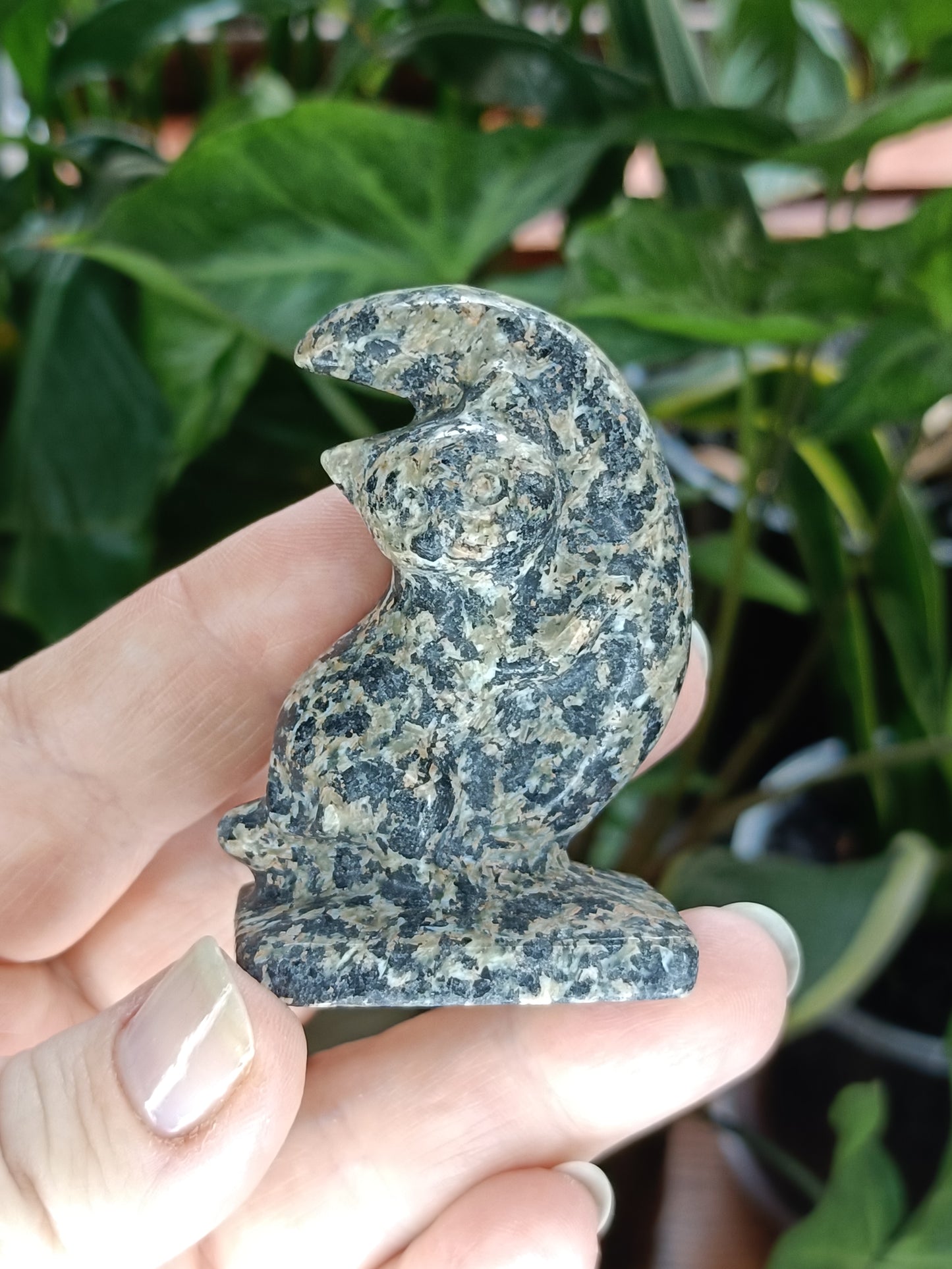 Mixed Stone Kitten Hugging a Moon Carving - 70-80g