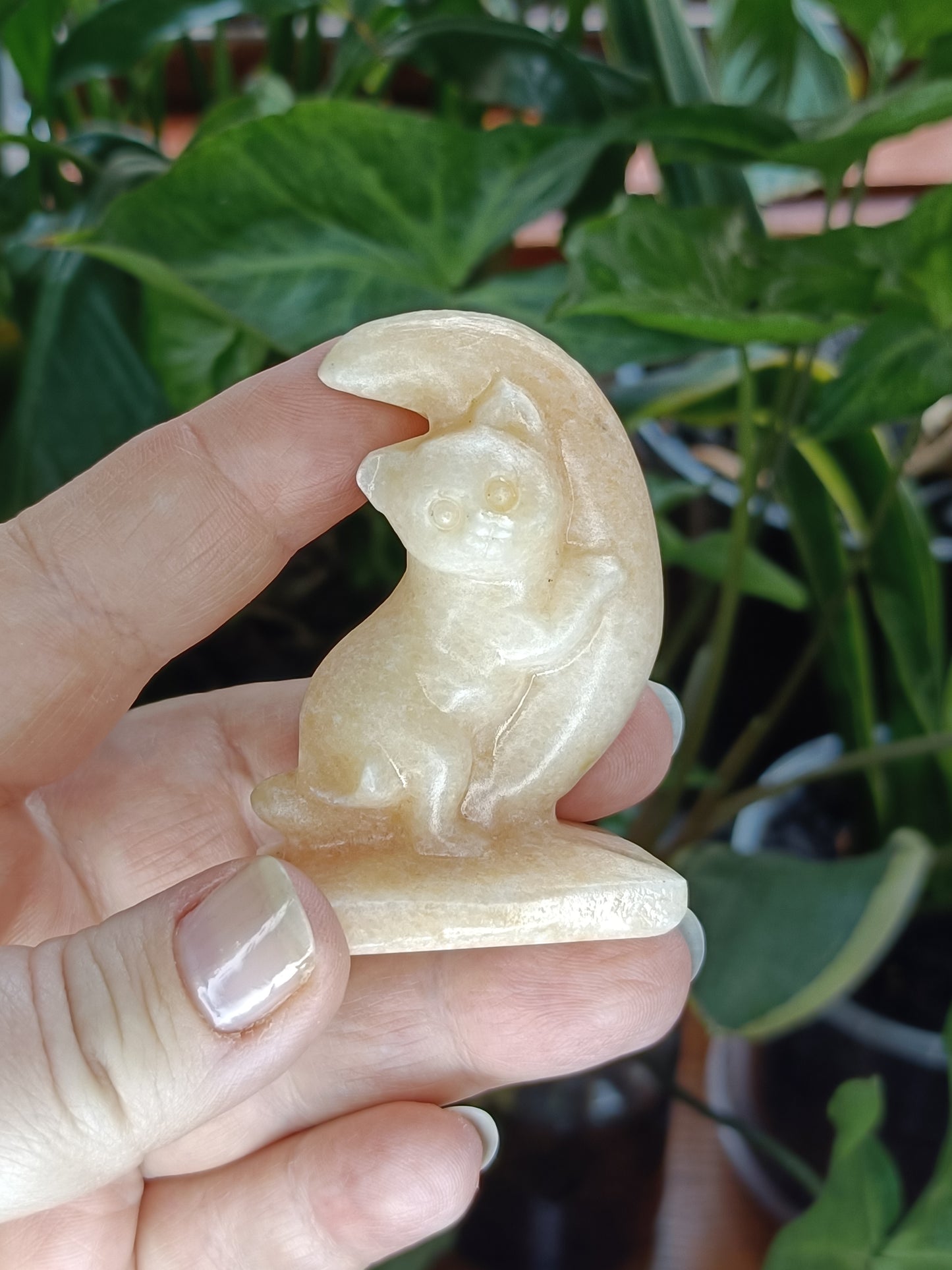Mixed Stone Kitten Hugging a Moon Carving - 70-80g