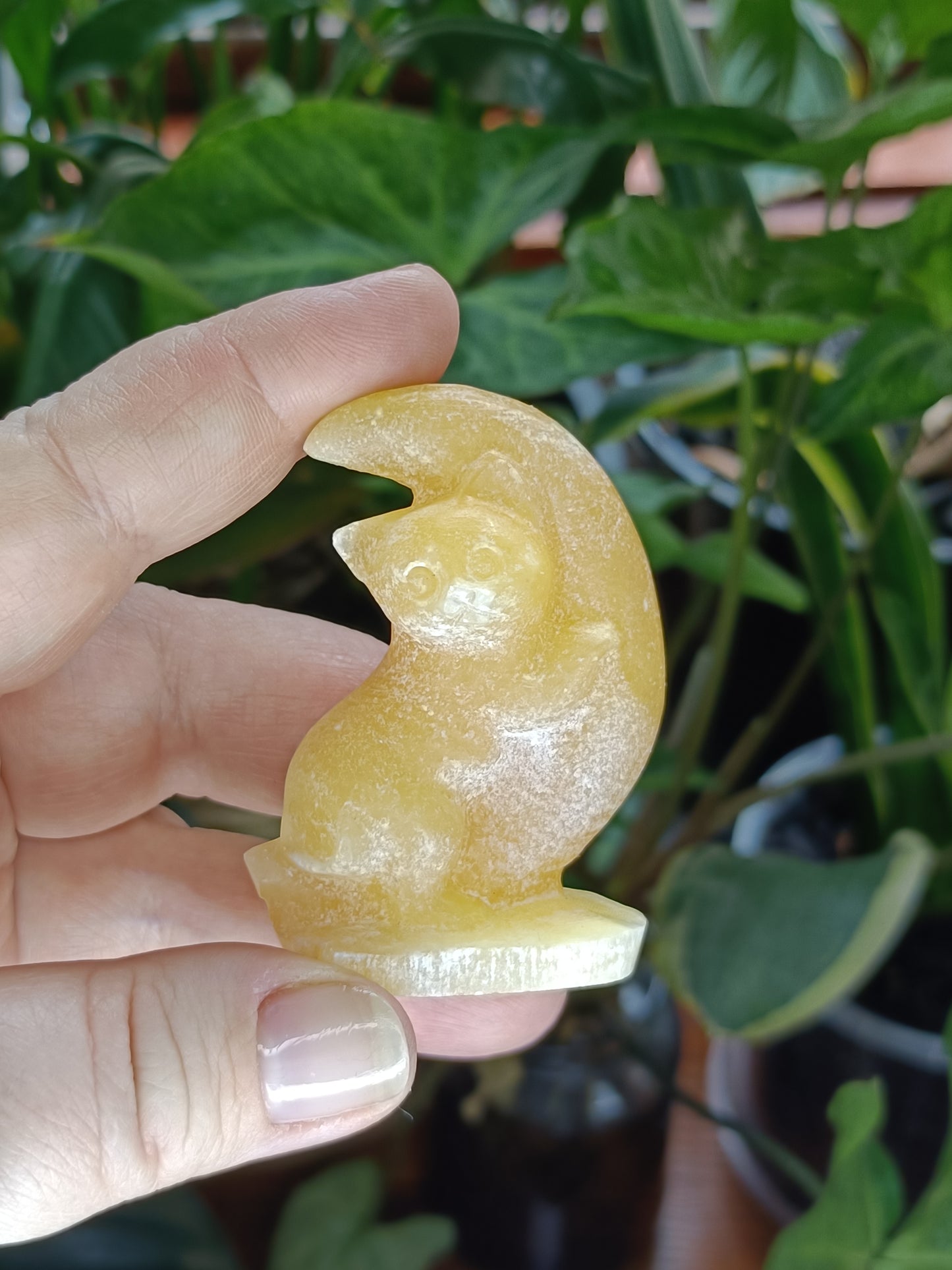 Mixed Stone Kitten Hugging a Moon Carving - 70-80g