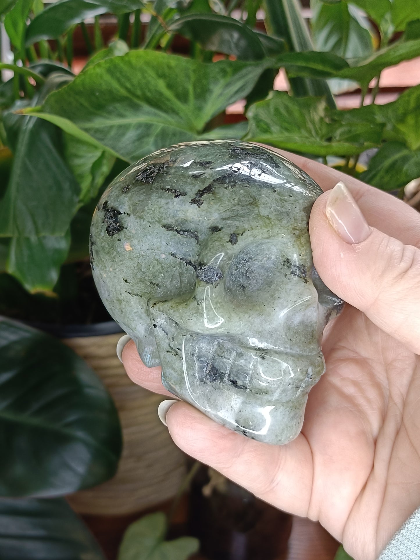 Labradorite Skull Carving - 467g