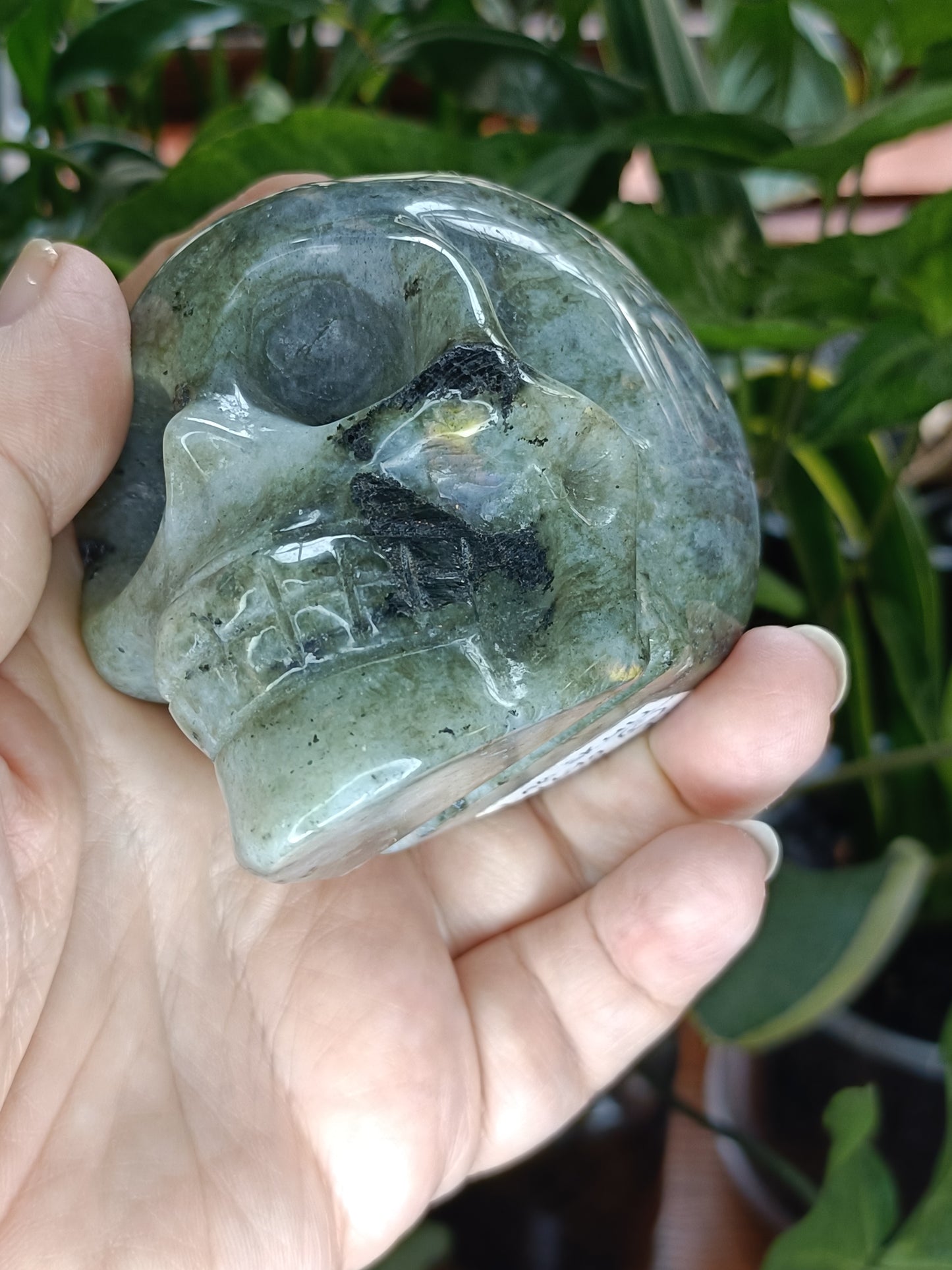 Labradorite Skull Carving - 467g