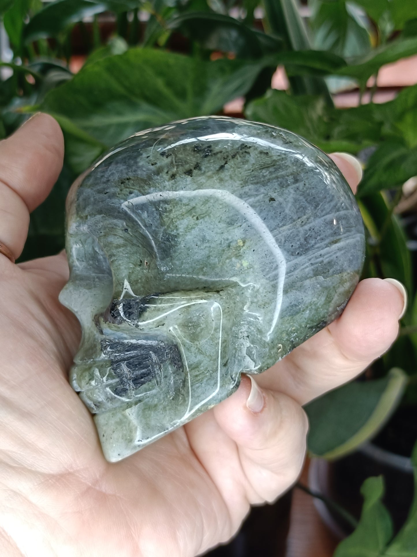 Labradorite Skull Carving - 467g