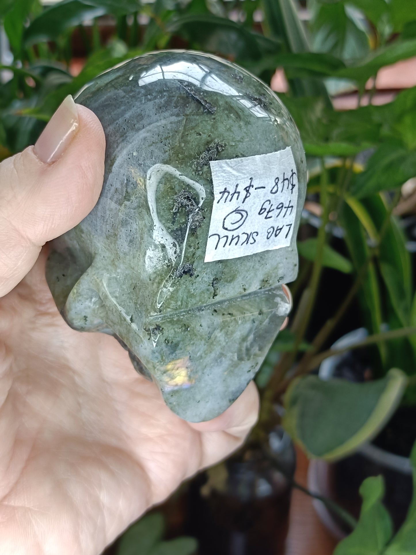 Labradorite Skull Carving - 467g