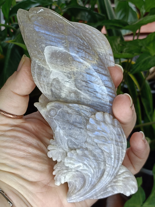 Blue Flash Moonstone Dolphin Mother & Baby Carving - 372g
