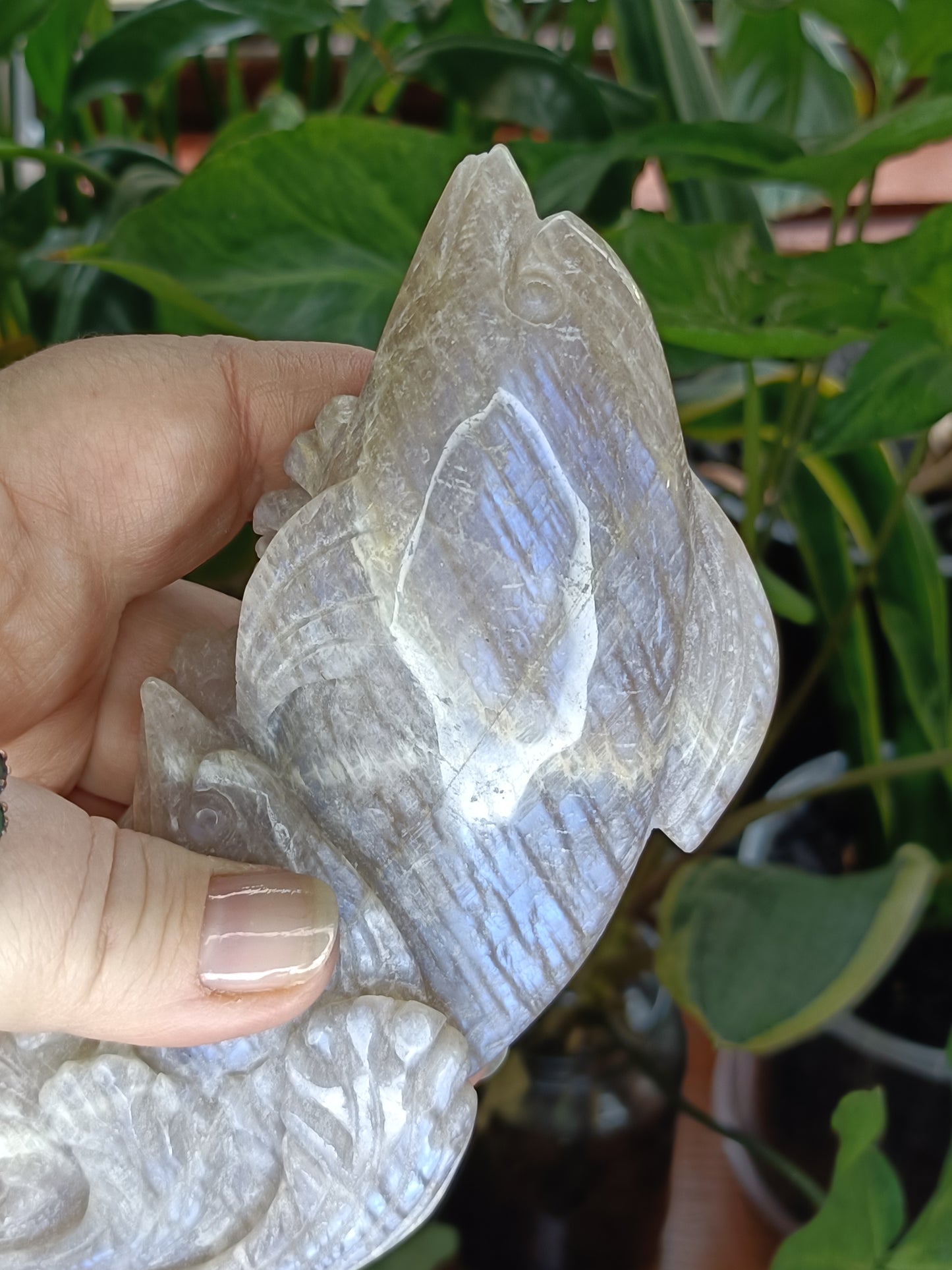 Blue Flash Moonstone Dolphin Mother & Baby Carving - 372g