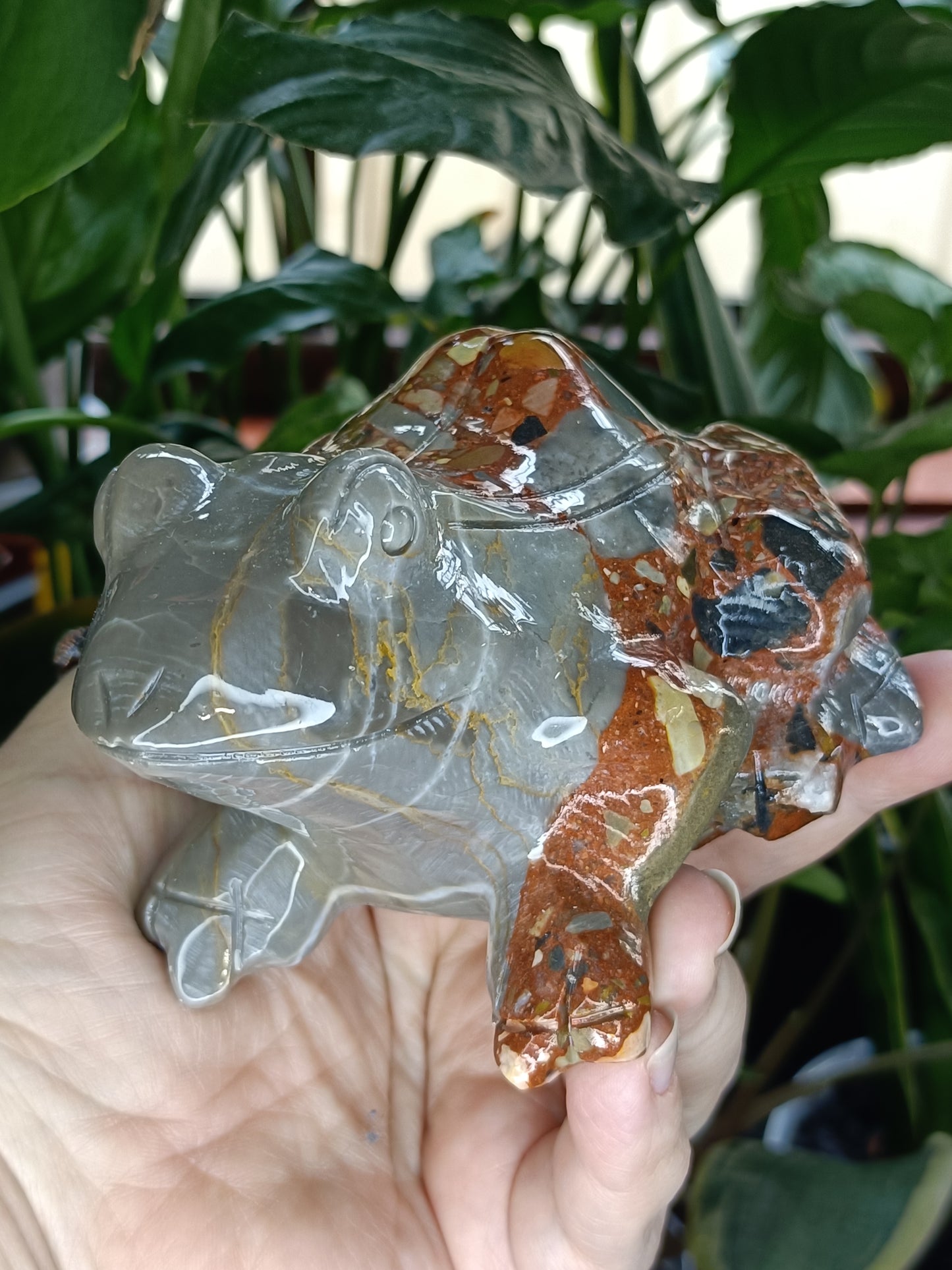 Breccia/Conglomerate Stone 'Patchwork Jade' Frog - 775g