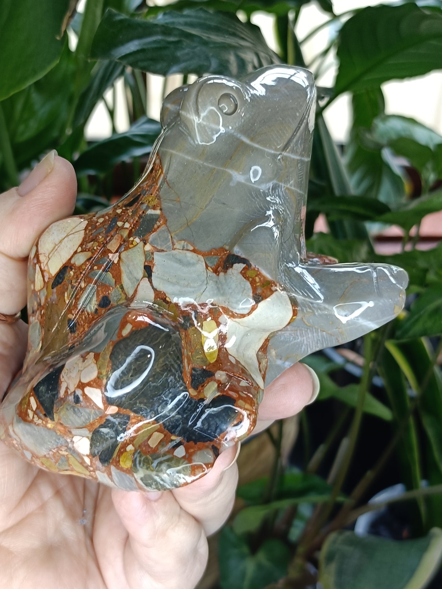 Breccia/Conglomerate Stone 'Patchwork Jade' Frog - 775g