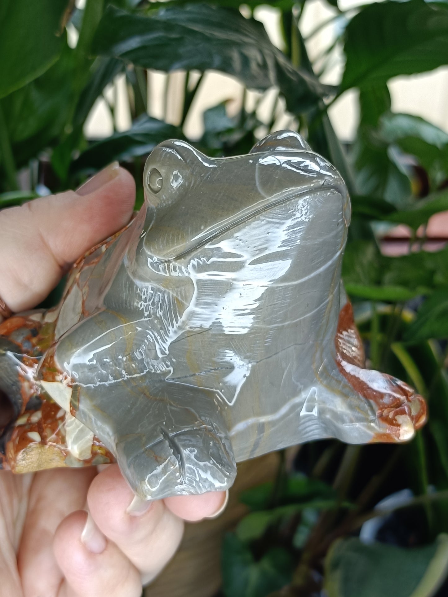 Breccia/Conglomerate Stone 'Patchwork Jade' Frog - 775g