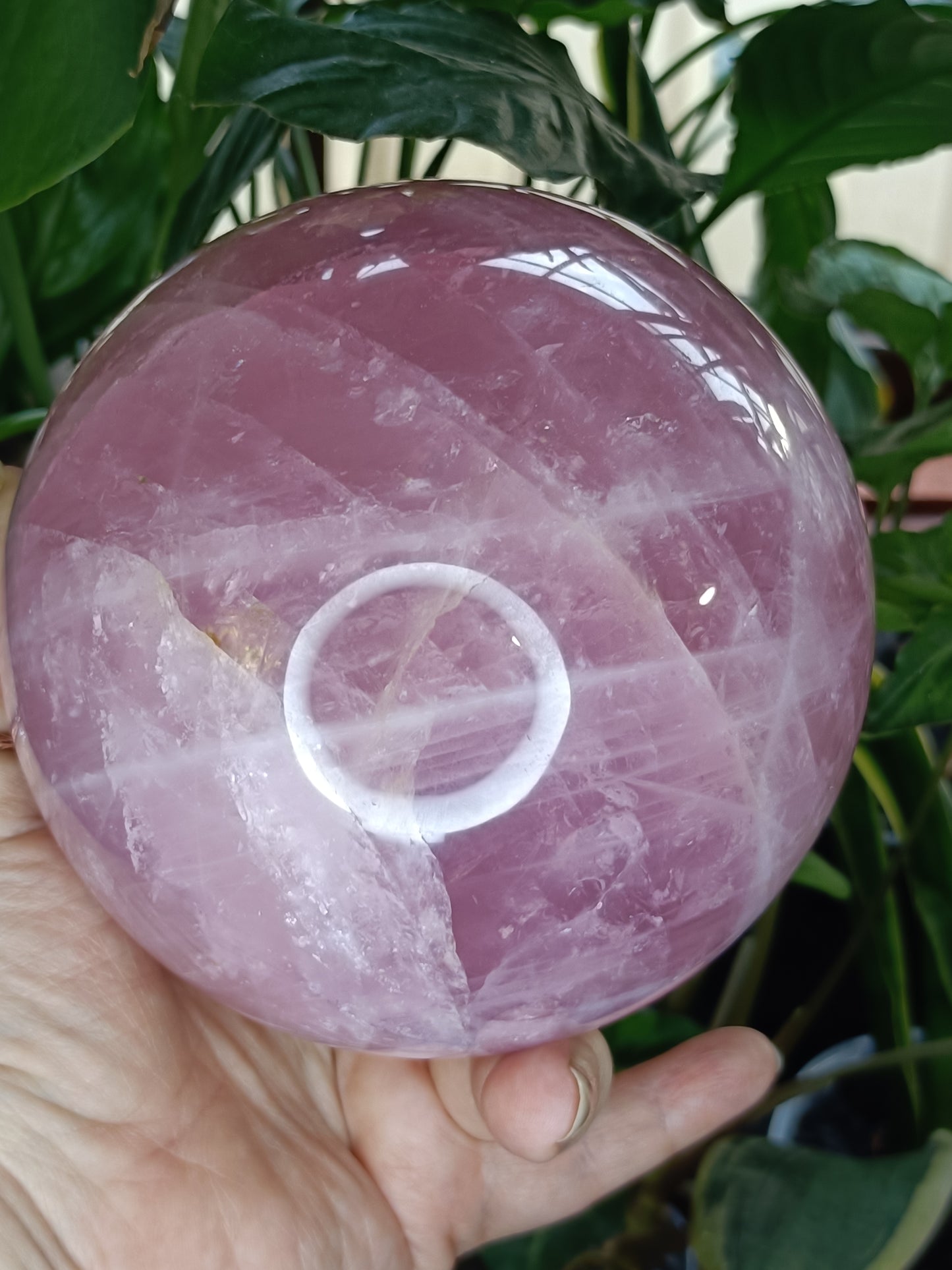LARGE Dark Rose Quartz Sphere - 2769g