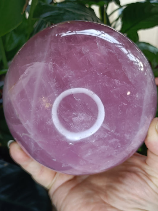 LARGE Dark Rose Quartz Sphere - 2769g
