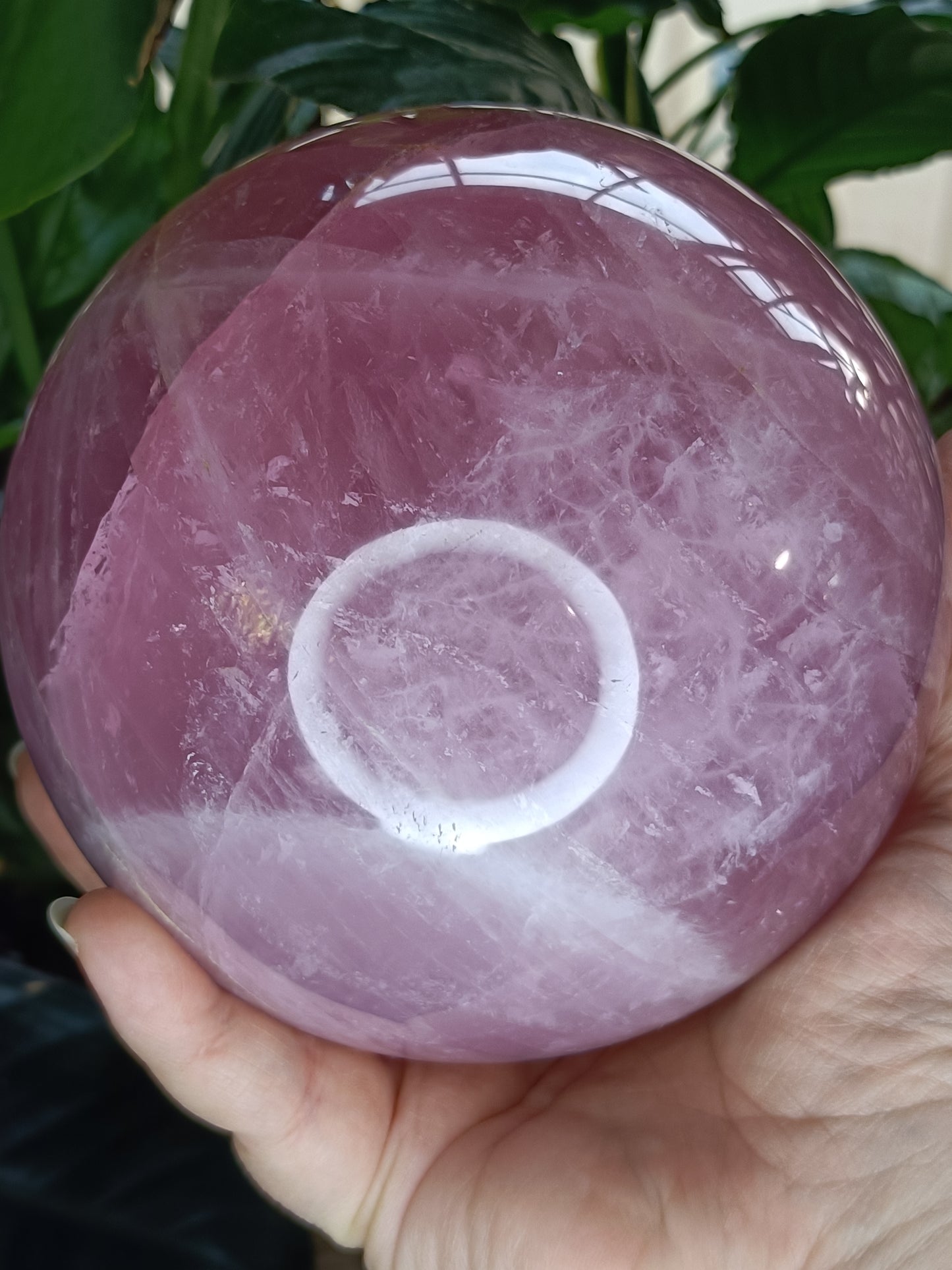 LARGE Dark Rose Quartz Sphere - 2769g