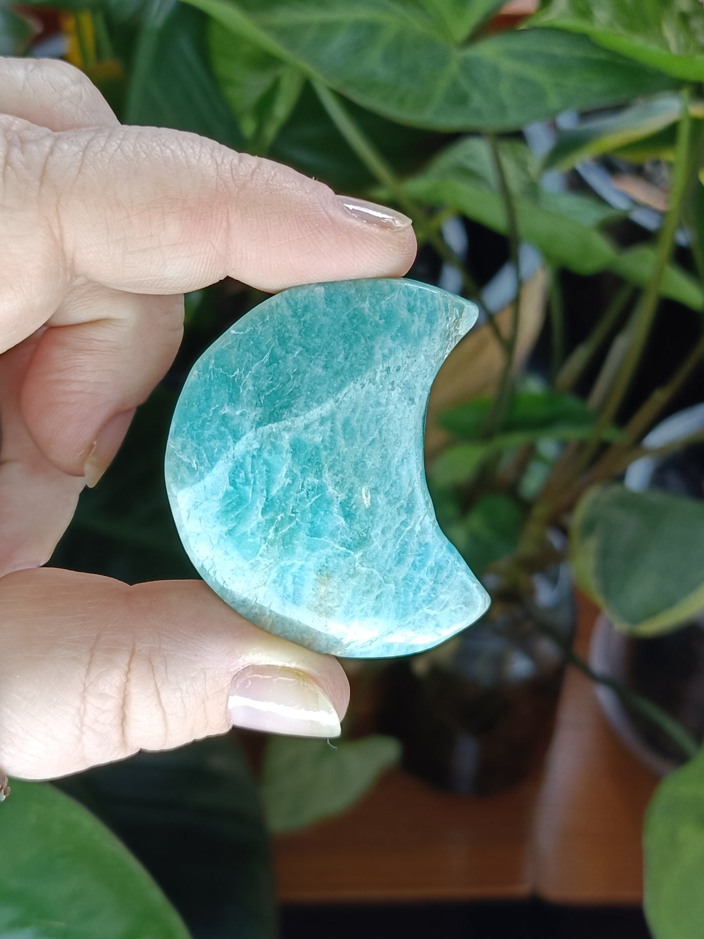 Amazonite Moon Mini Carvings - 15-45g