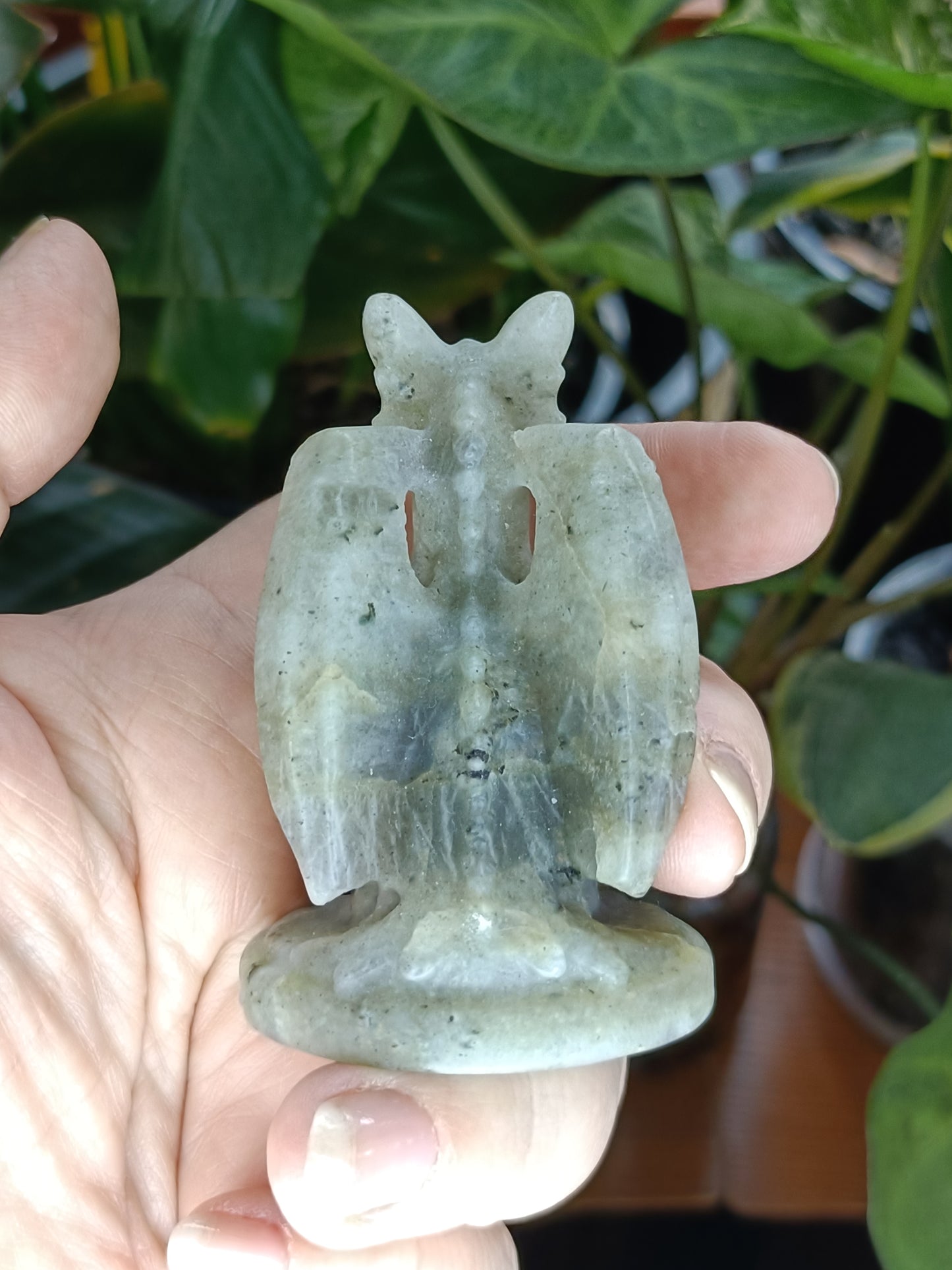 Labradorite Guardian Dragon Carving - 100g