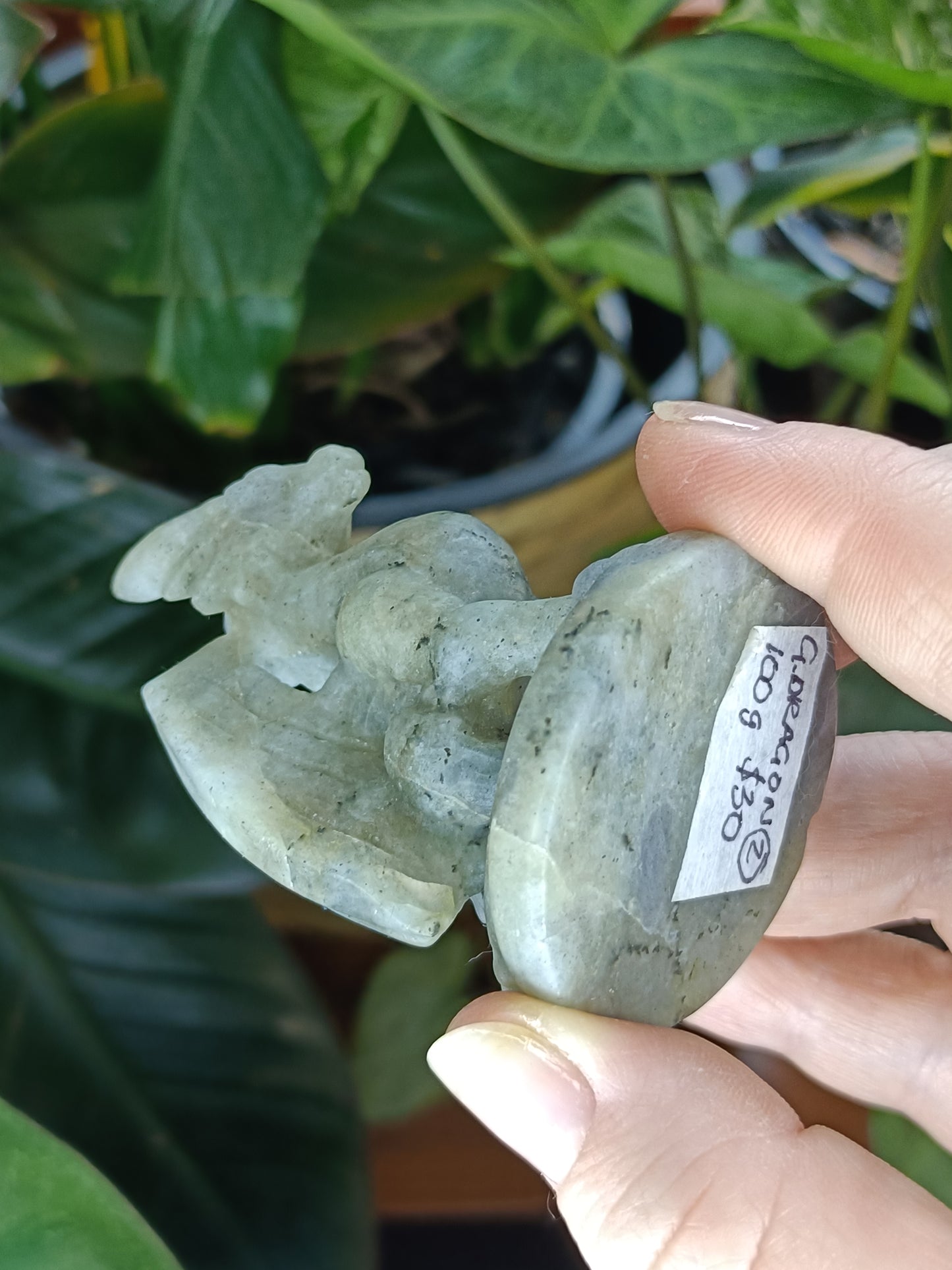 Labradorite Guardian Dragon Carving - 100g
