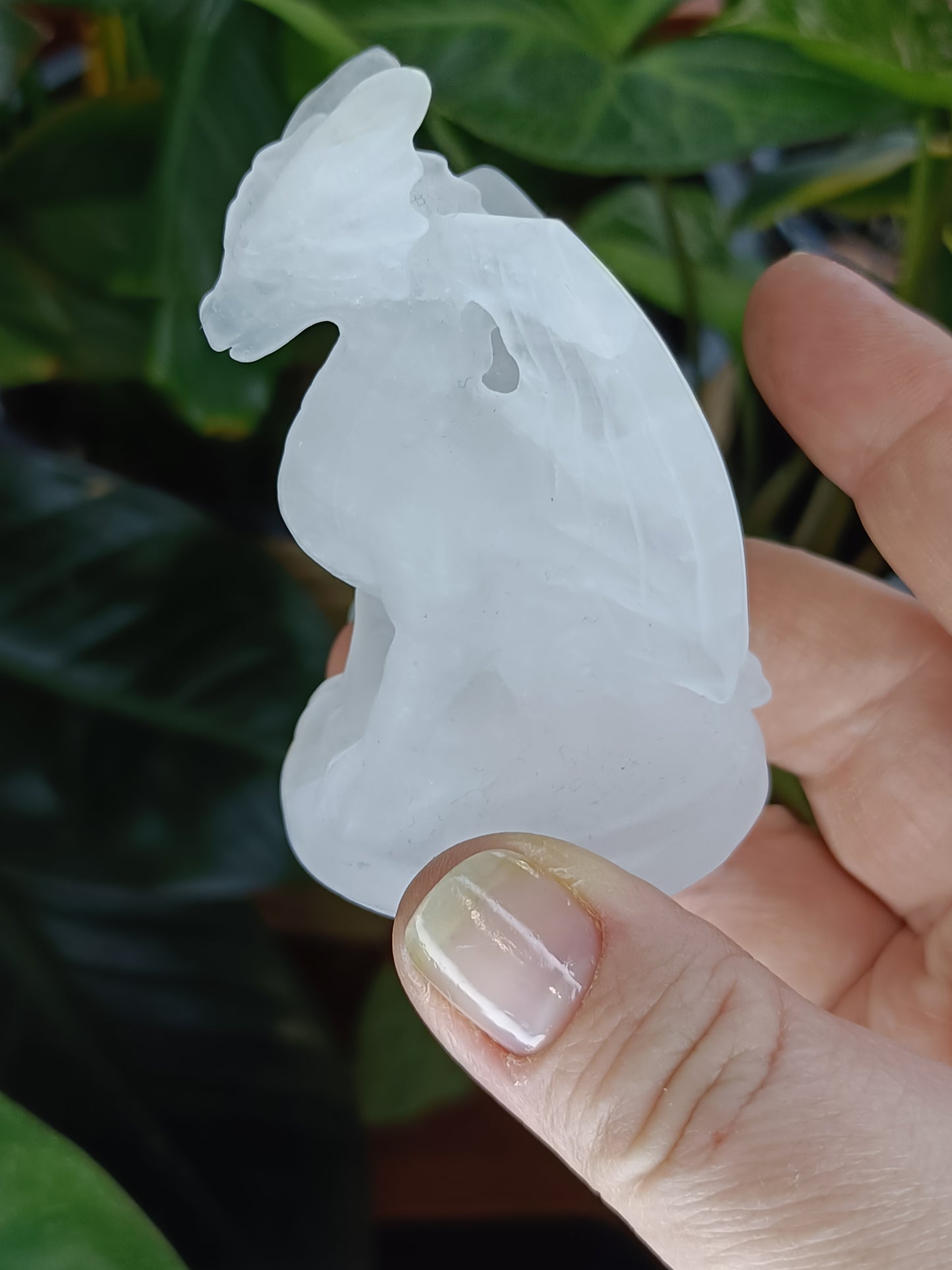 Clear Quartz Guardian Dragon Carving - 100g