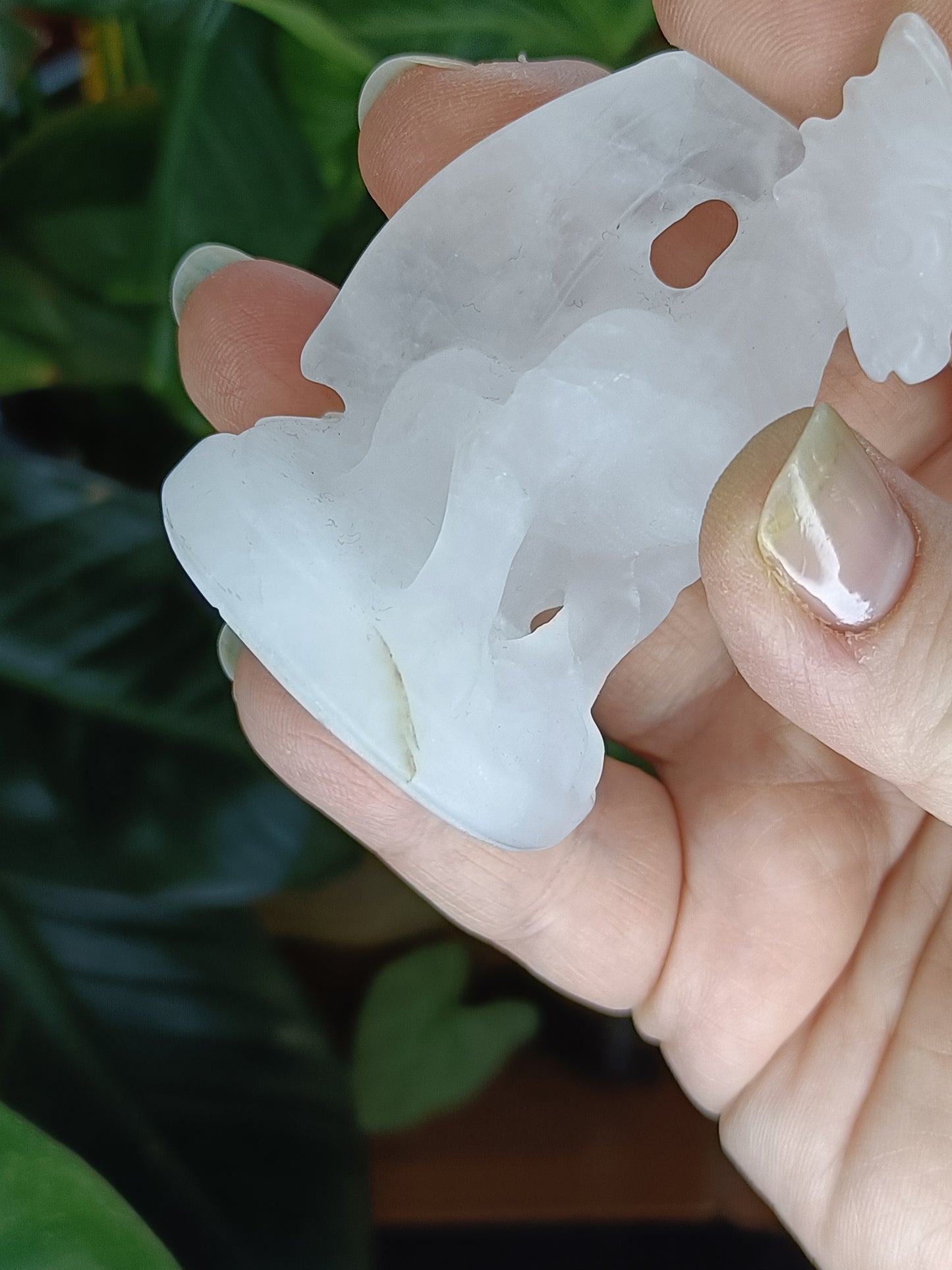 Clear Quartz Guardian Dragon Carving - 100g