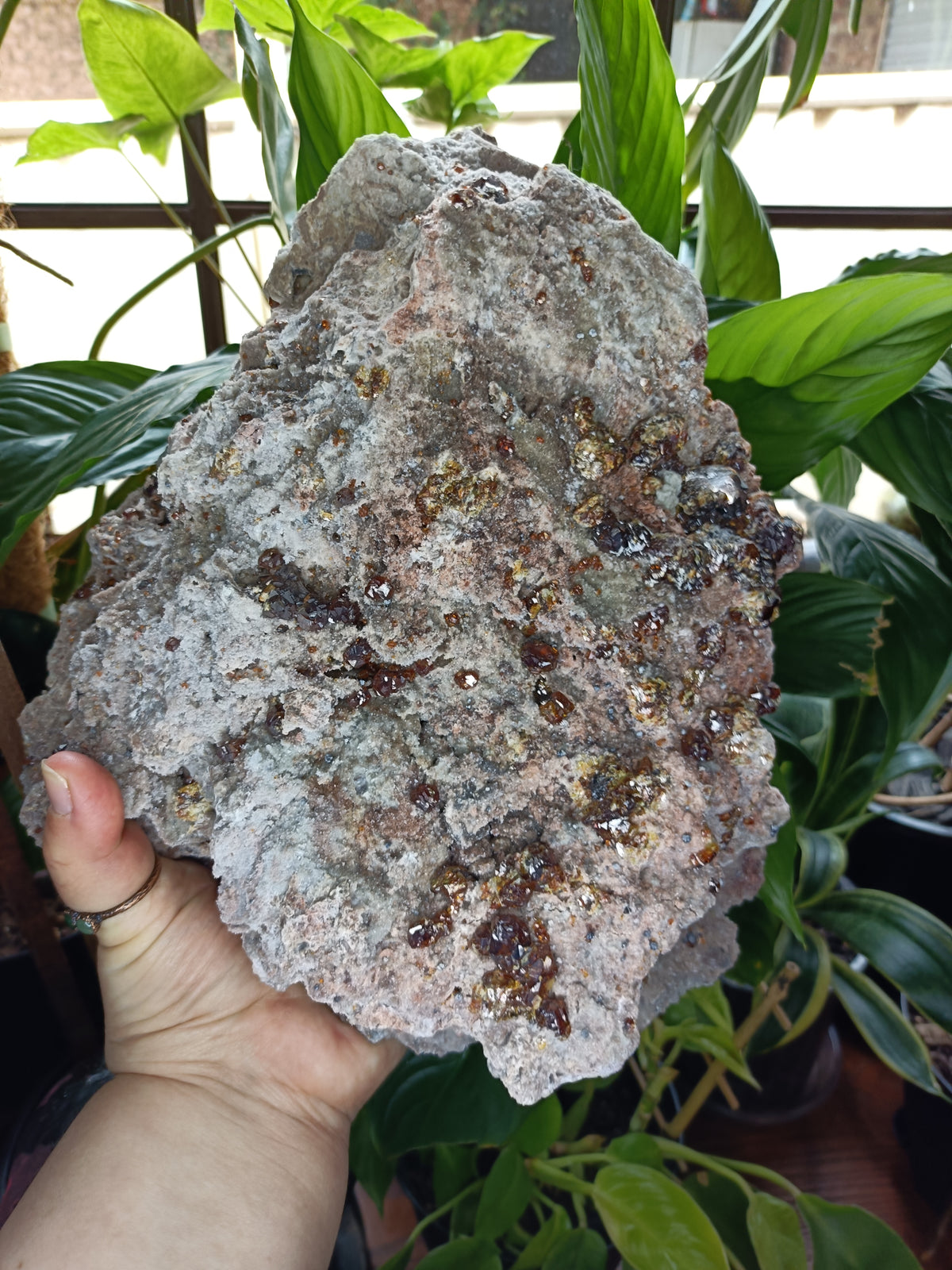 Hessonite Garnet Specimen + Custom Wood Stand - 7568g