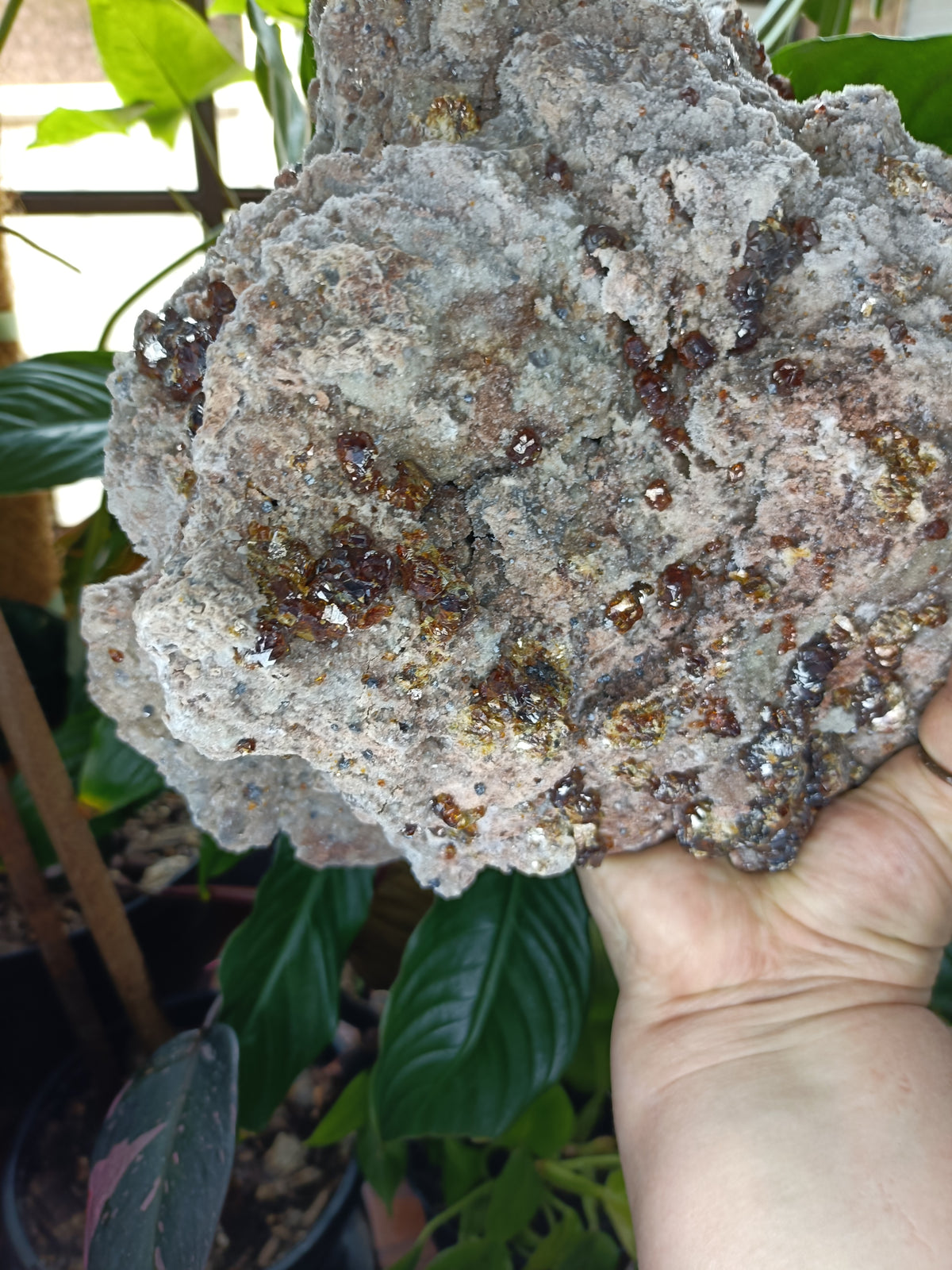 Hessonite Garnet Specimen + Custom Wood Stand - 7568g