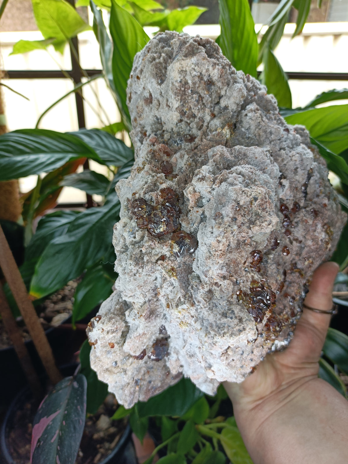 Hessonite Garnet Specimen + Custom Wood Stand - 7568g