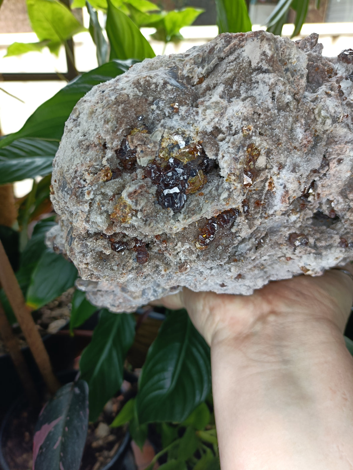 Hessonite Garnet Specimen + Custom Wood Stand - 7568g