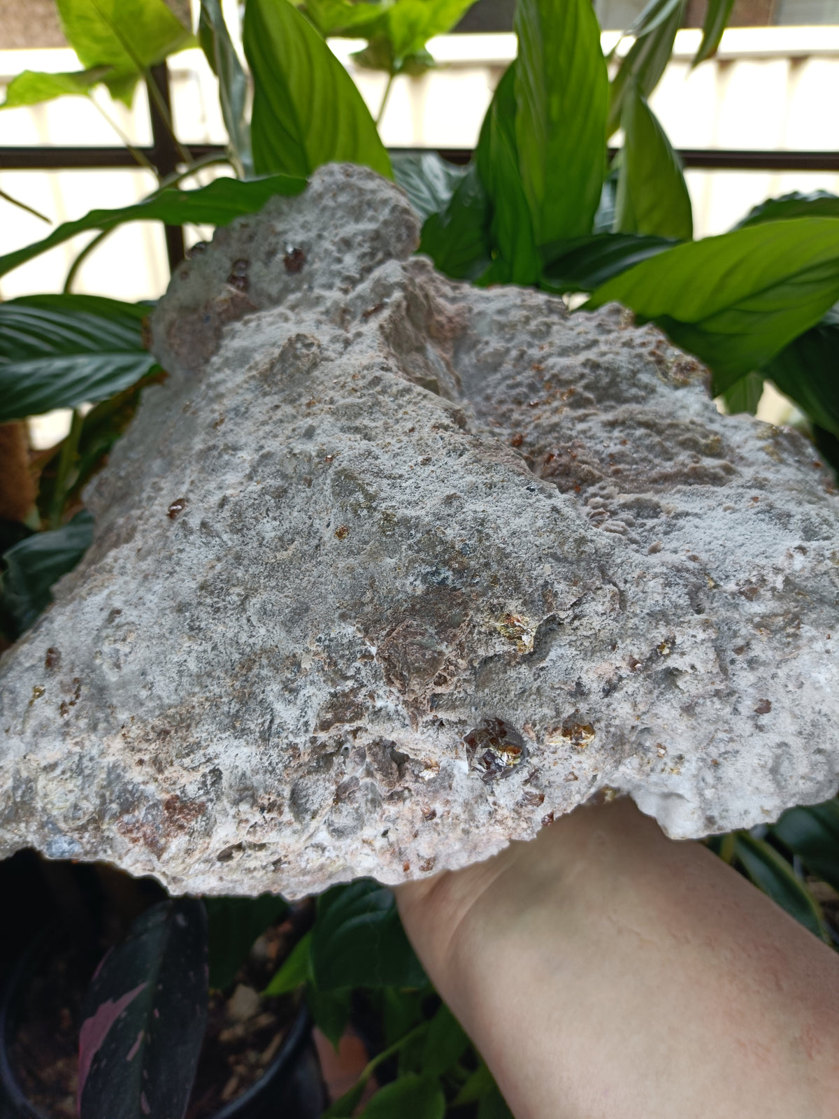 Hessonite Garnet Specimen + Custom Wood Stand - 7568g