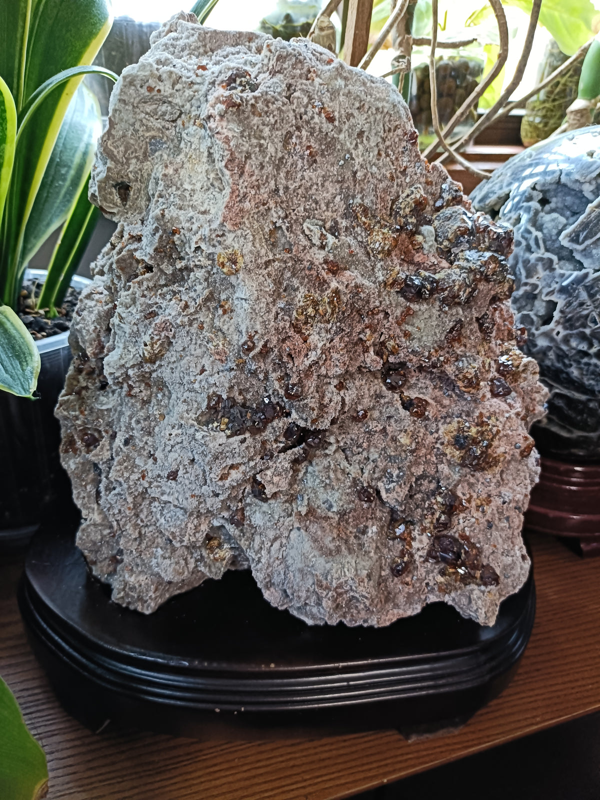 Hessonite Garnet Specimen + Custom Wood Stand - 7568g