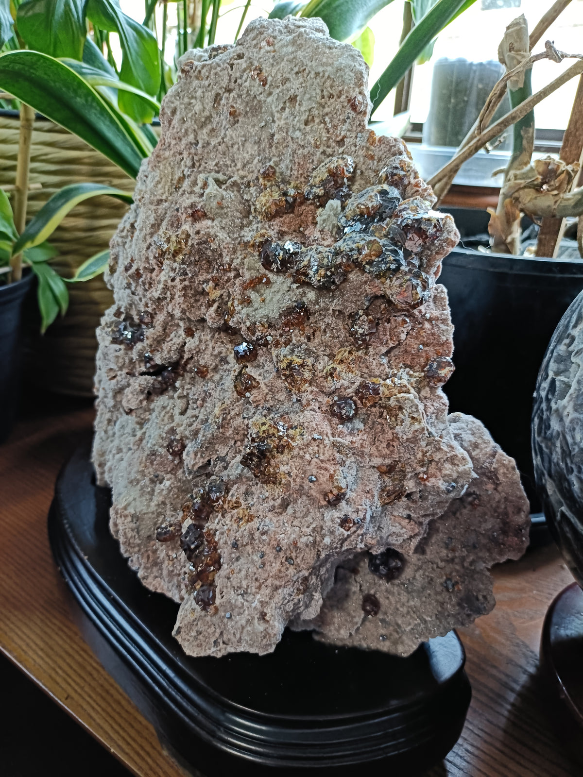 Hessonite Garnet Specimen + Custom Wood Stand - 7568g