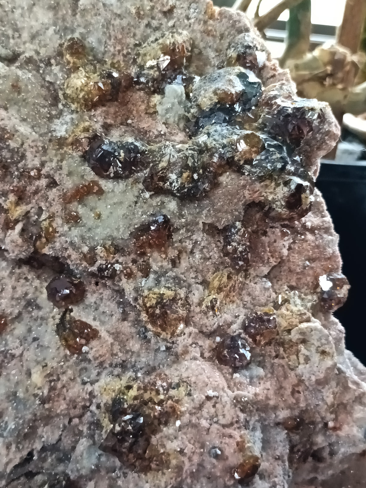 Hessonite Garnet Specimen + Custom Wood Stand - 7568g