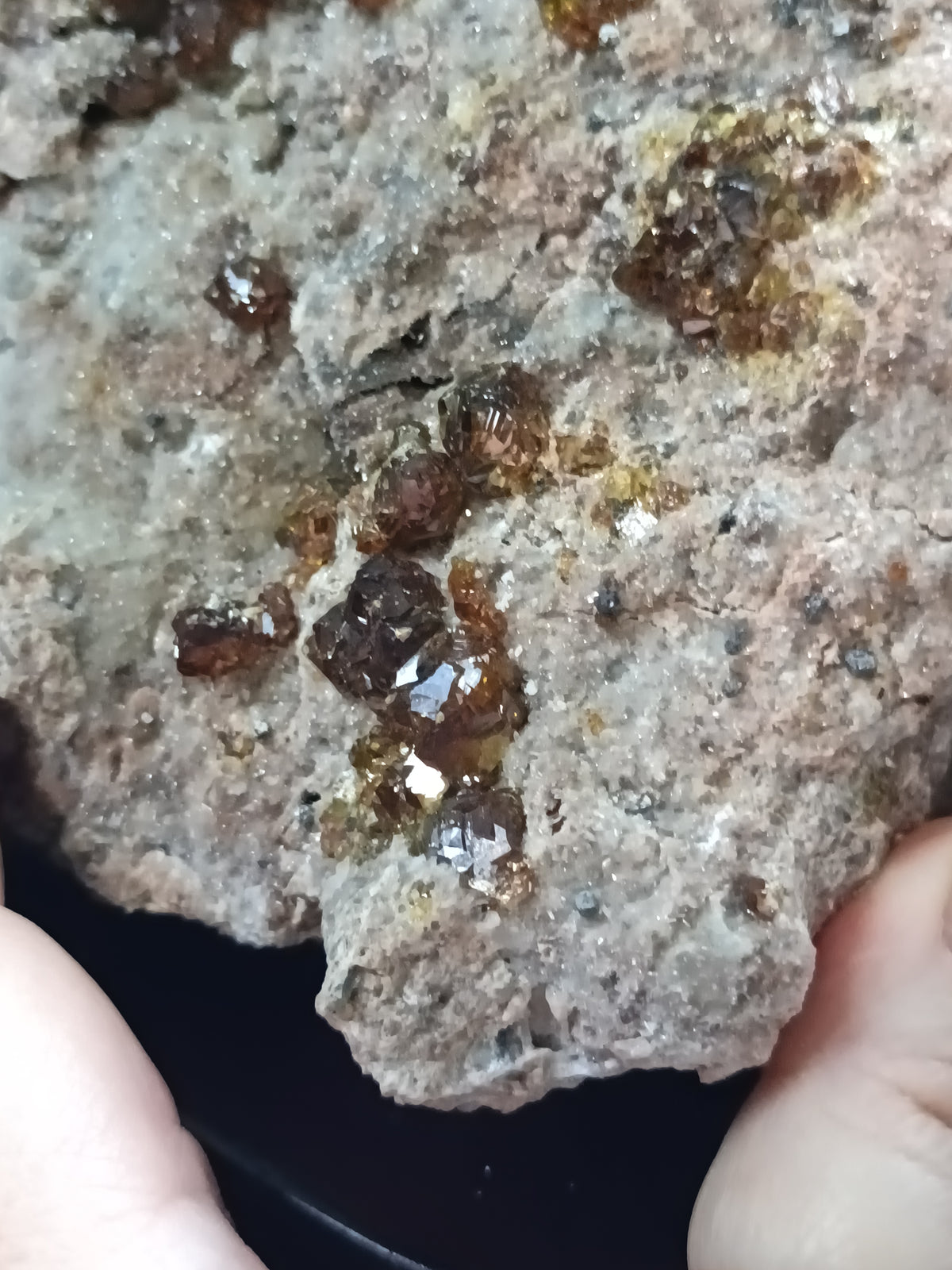 Hessonite Garnet Specimen + Custom Wood Stand - 7568g