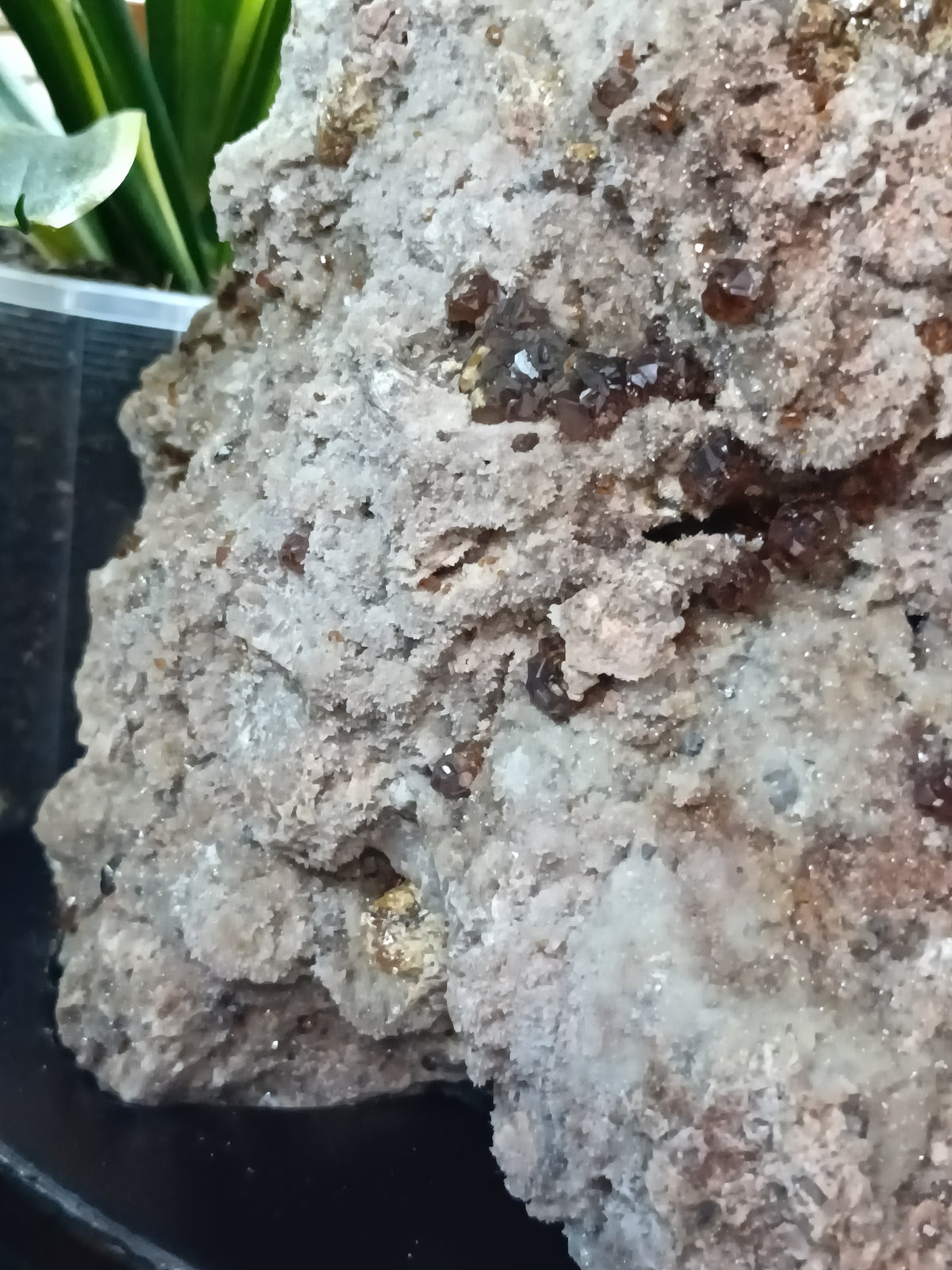Hessonite Garnet Specimen + Custom Wood Stand - 7568g