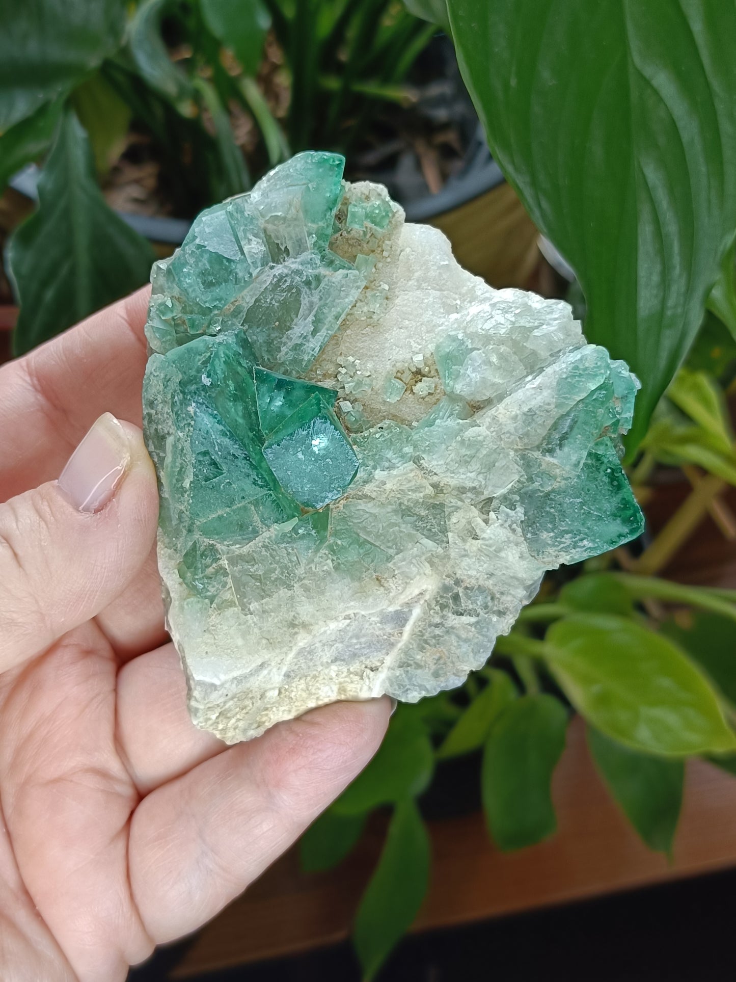 Fluorite Specimen - 215g