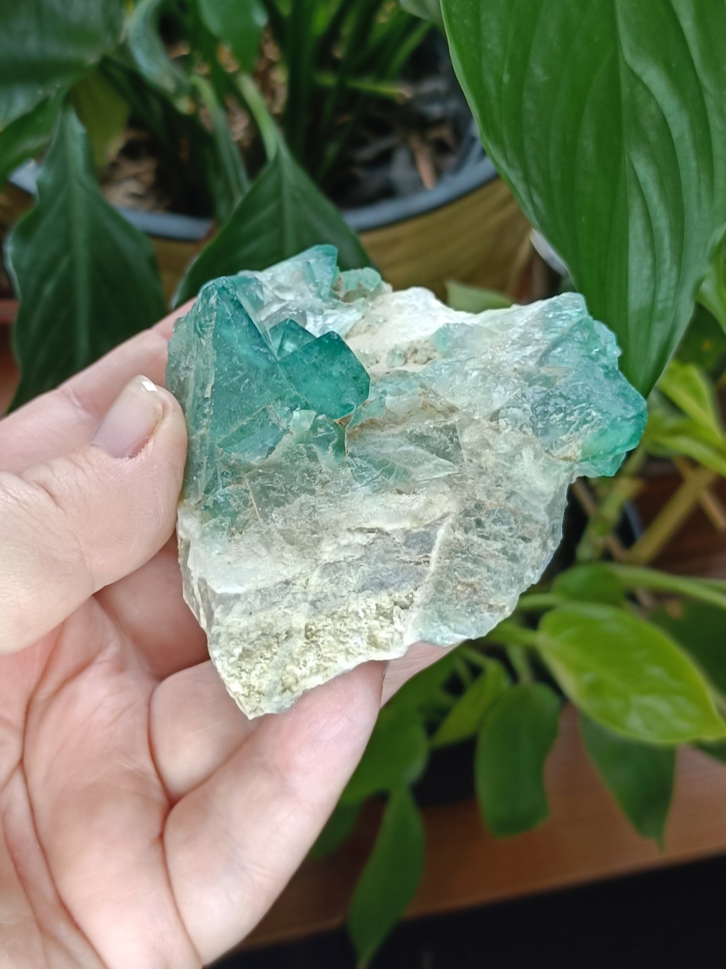 Fluorite Specimen - 215g