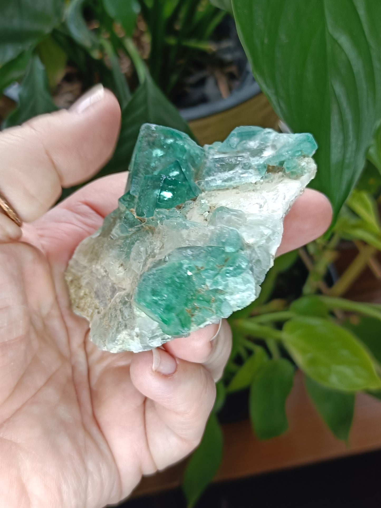Fluorite Specimen - 215g