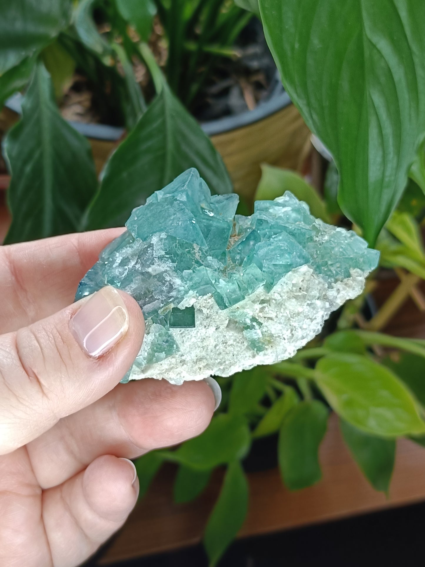 Fluorite Specimen - 123g