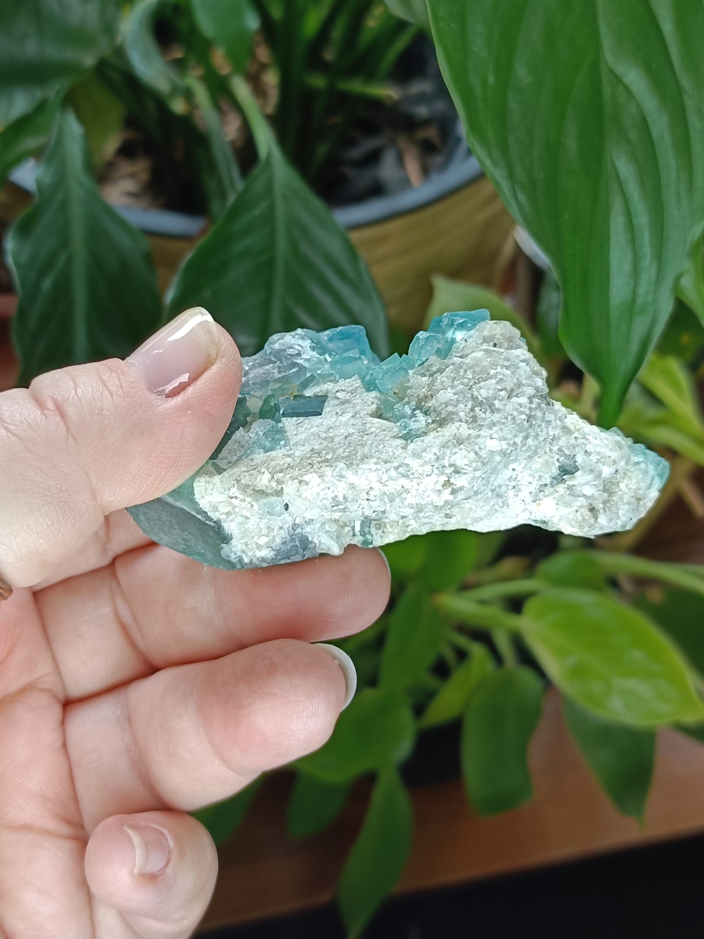 Fluorite Specimen - 123g