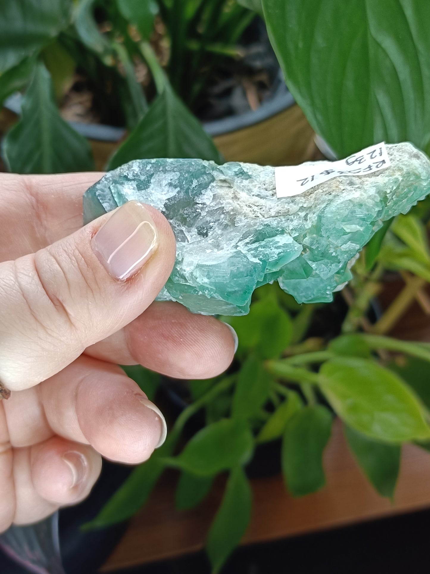 Fluorite Specimen - 123g