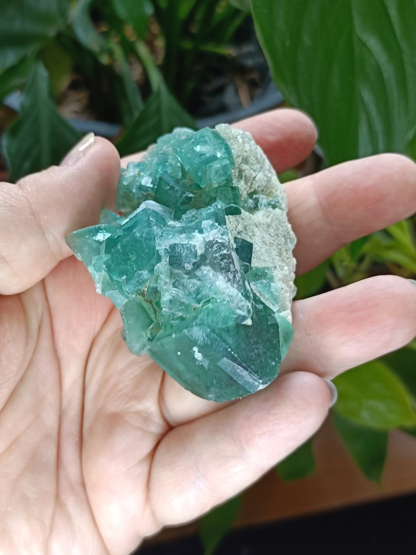 Fluorite Specimen - 123g