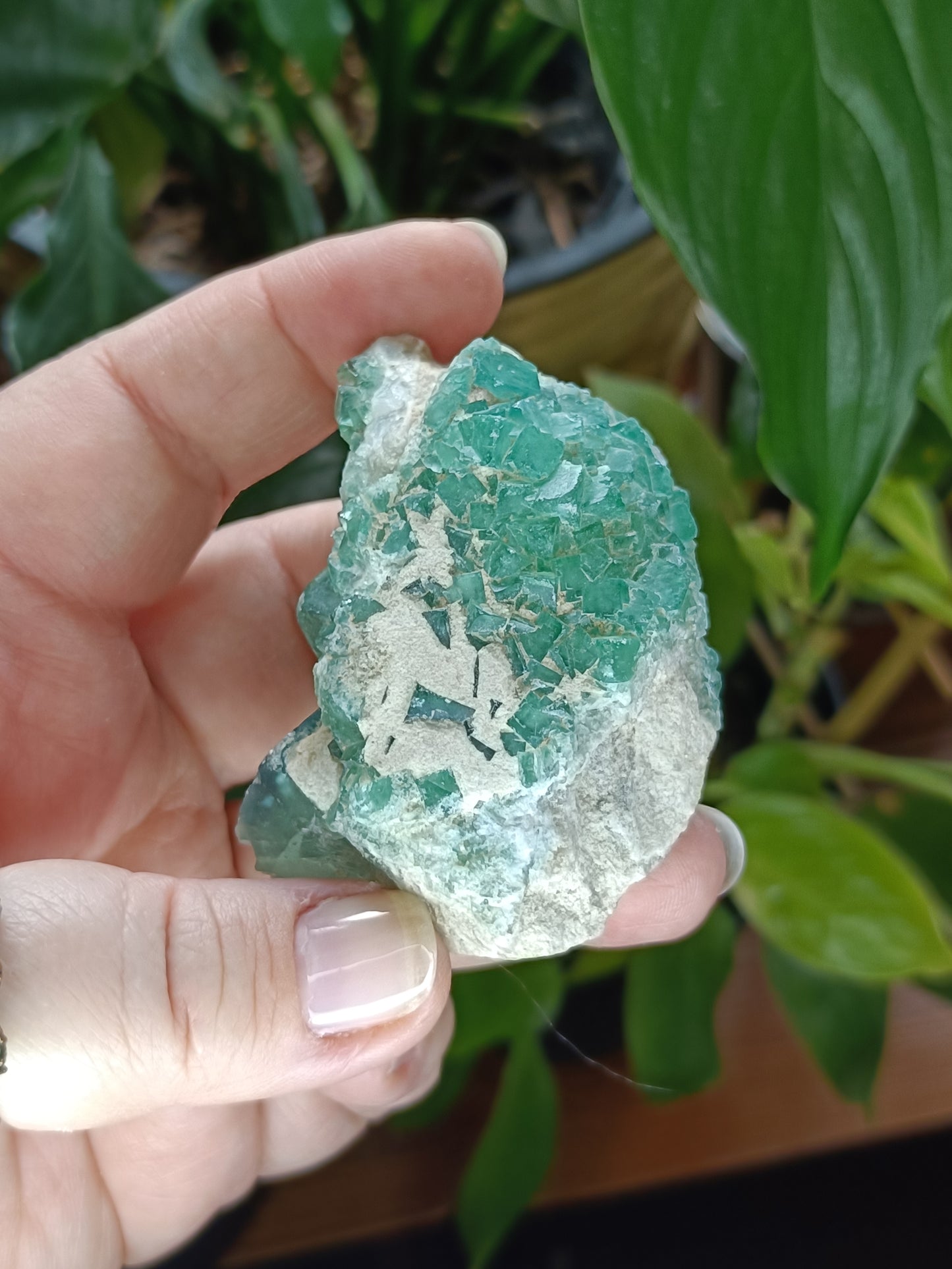 Fluorite Specimen - 126g