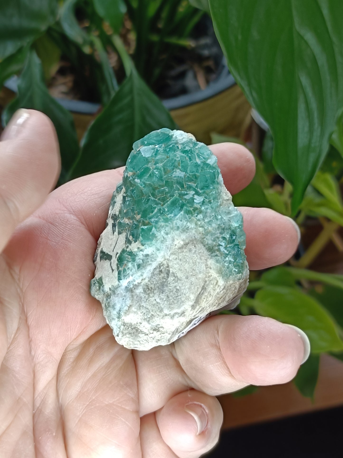 Fluorite Specimen - 126g