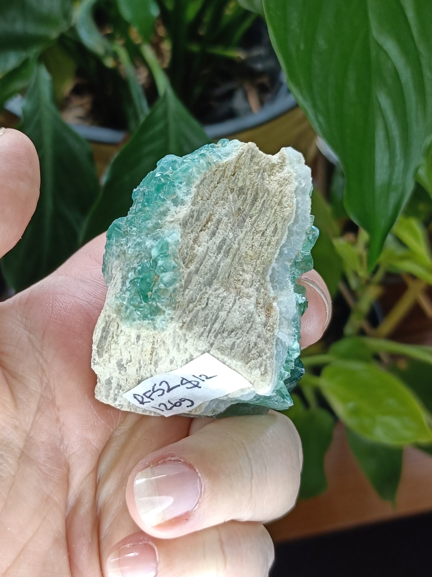Fluorite Specimen - 126g