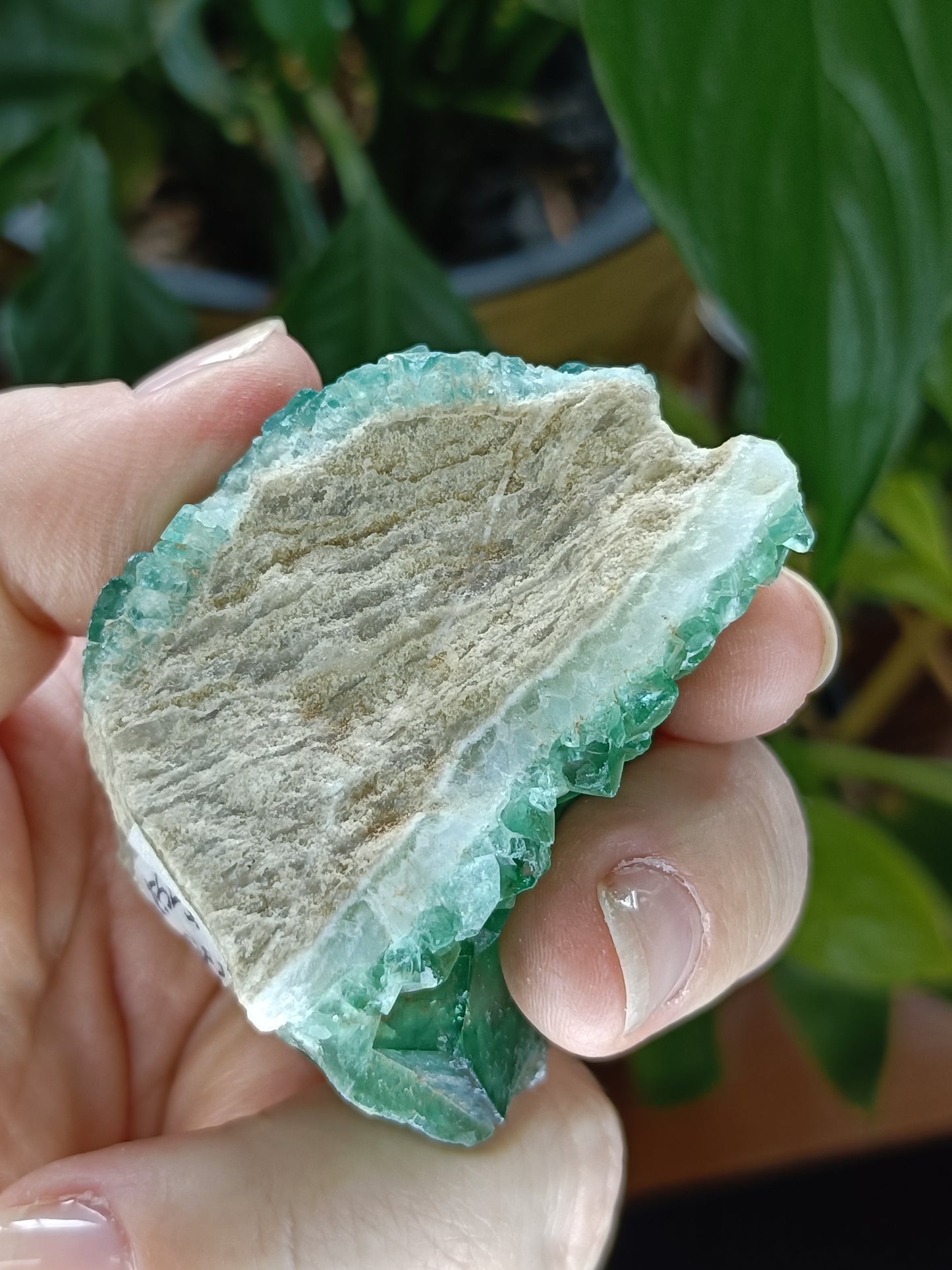 Fluorite Specimen - 126g