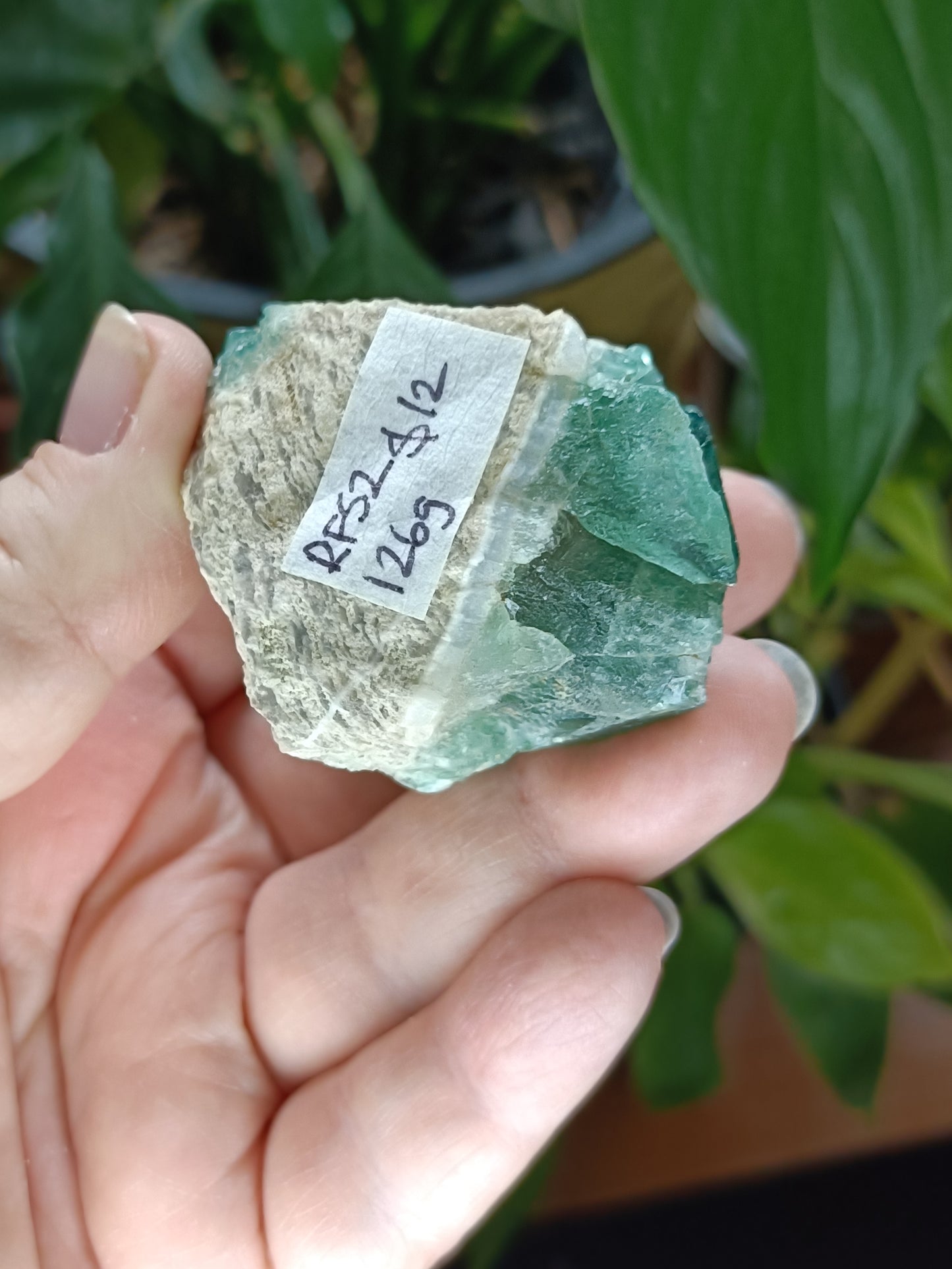 Fluorite Specimen - 126g